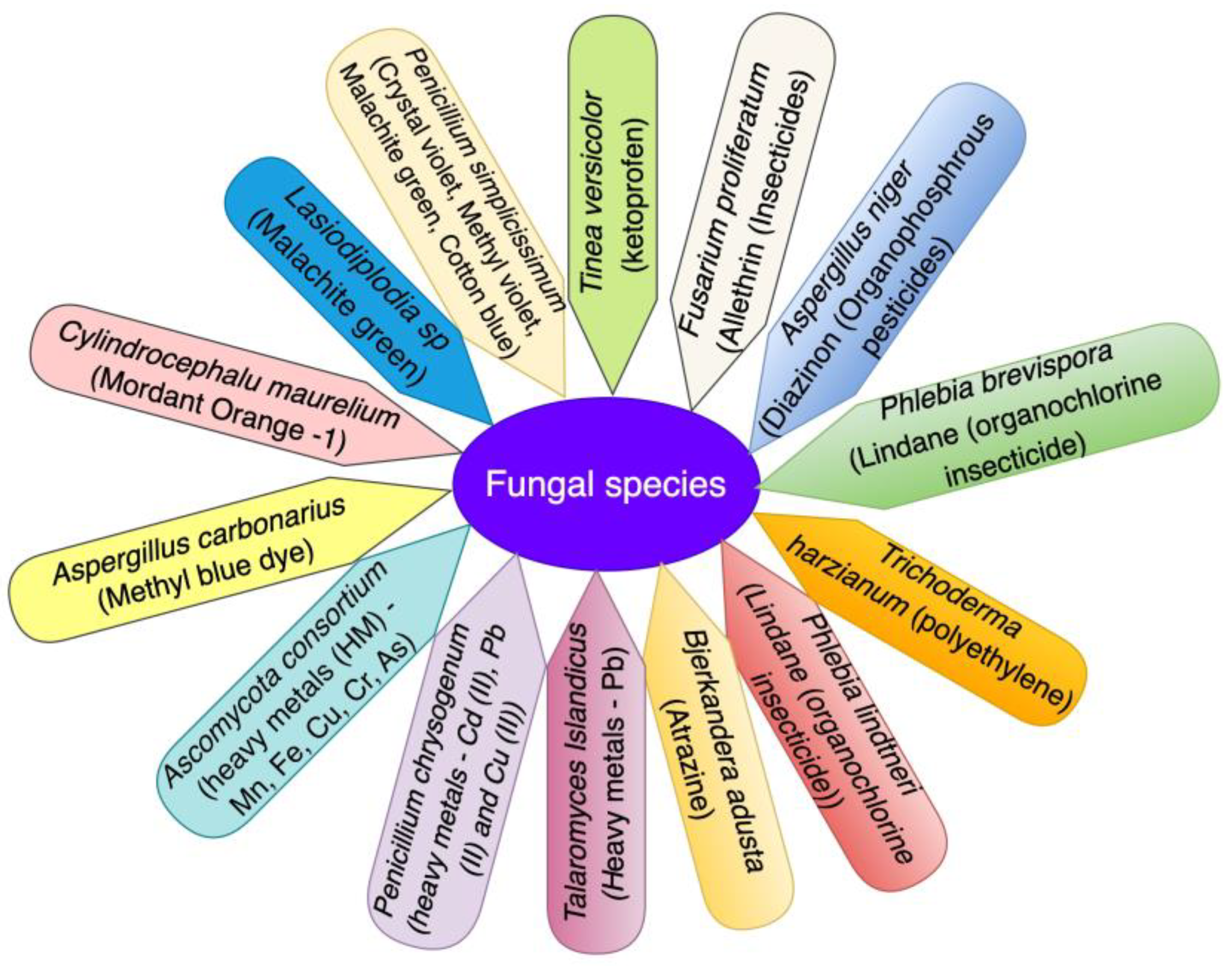 Applsci 13 04978 g001 Applsci 13 04978 g001