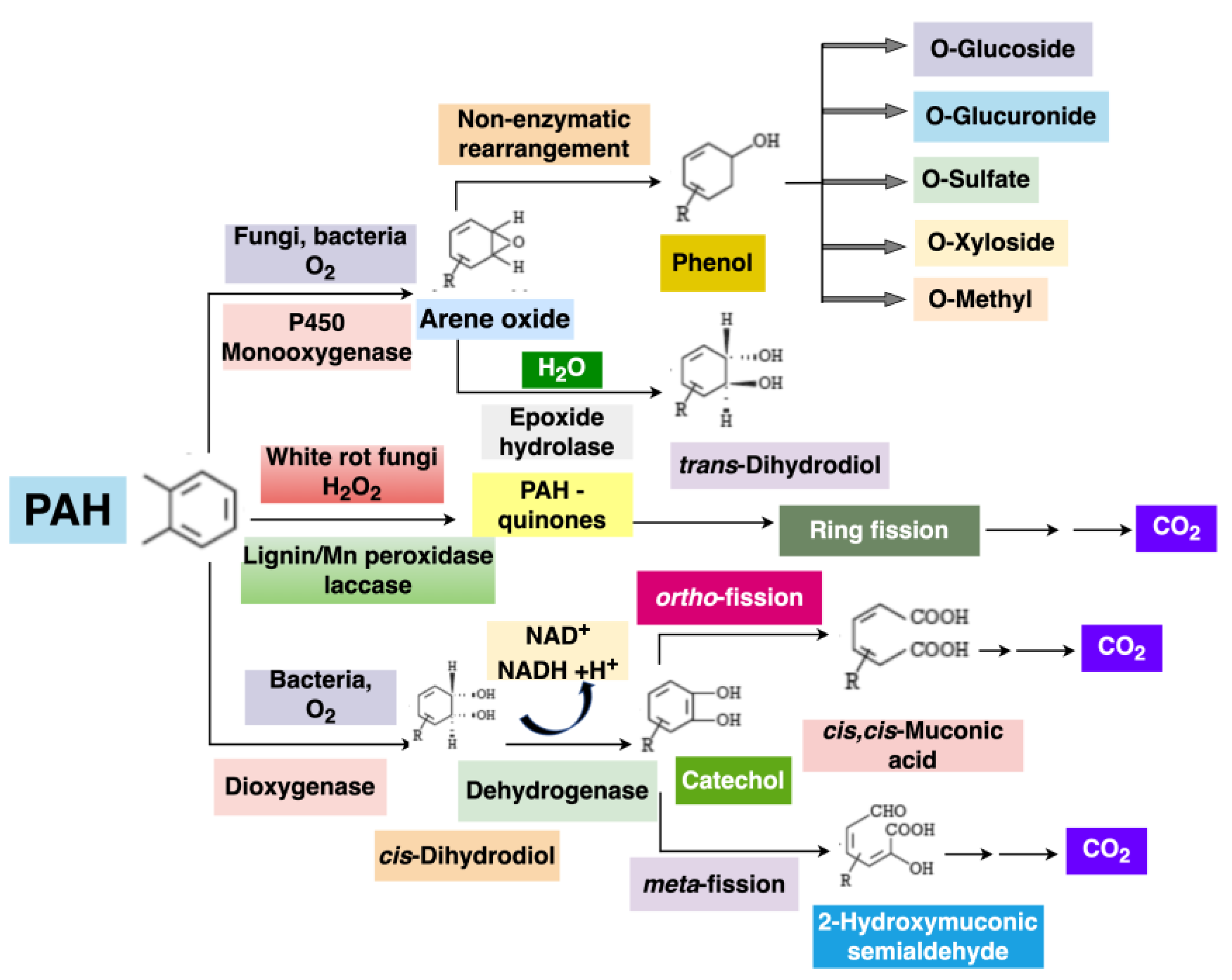 Applsci 13 04978 g004 Applsci 13 04978 g004