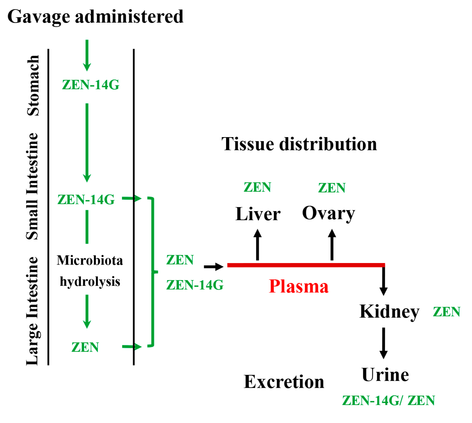 Applsci 13 04990 g006 Applsci 13 04990 g006