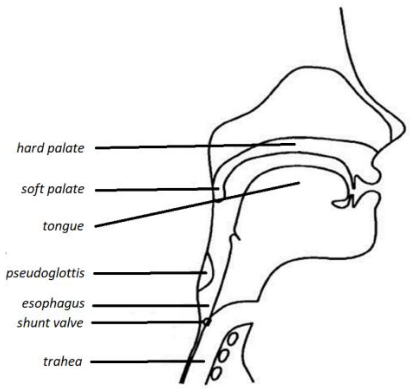 Applsci 13 04995 g001 Applsci 13 04995 g001