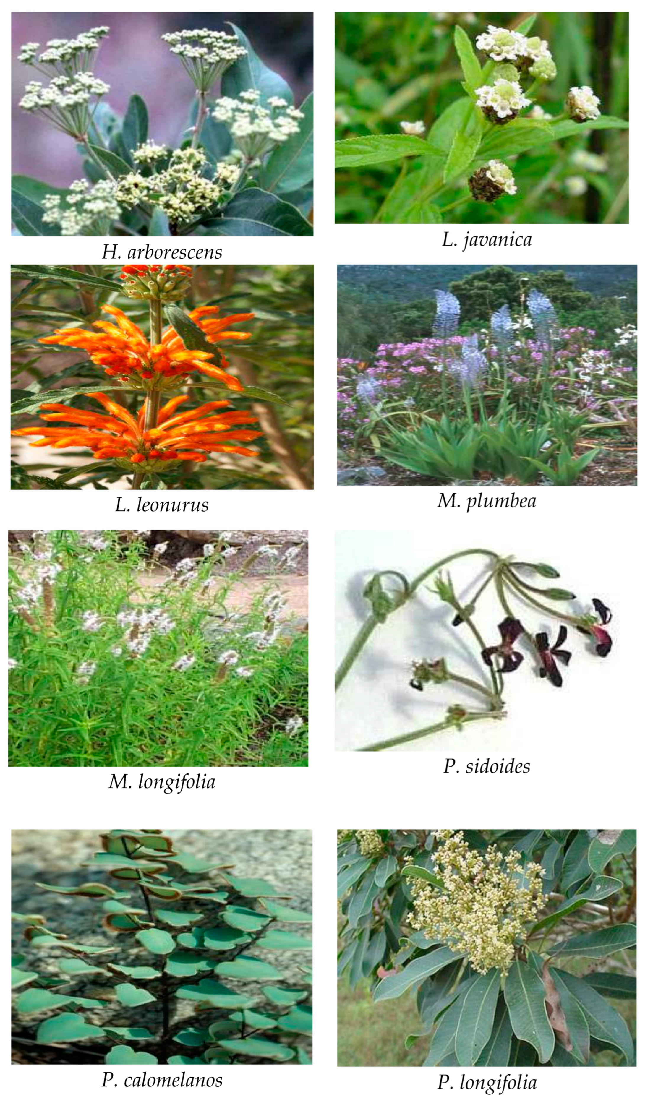 Applsci 13 05008 g004b