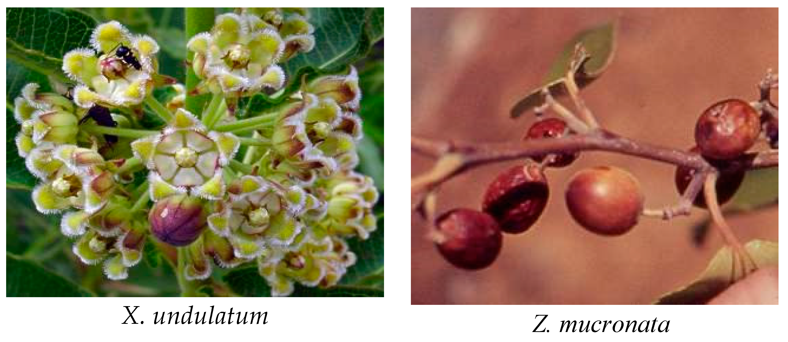 Applsci 13 05008 g004d