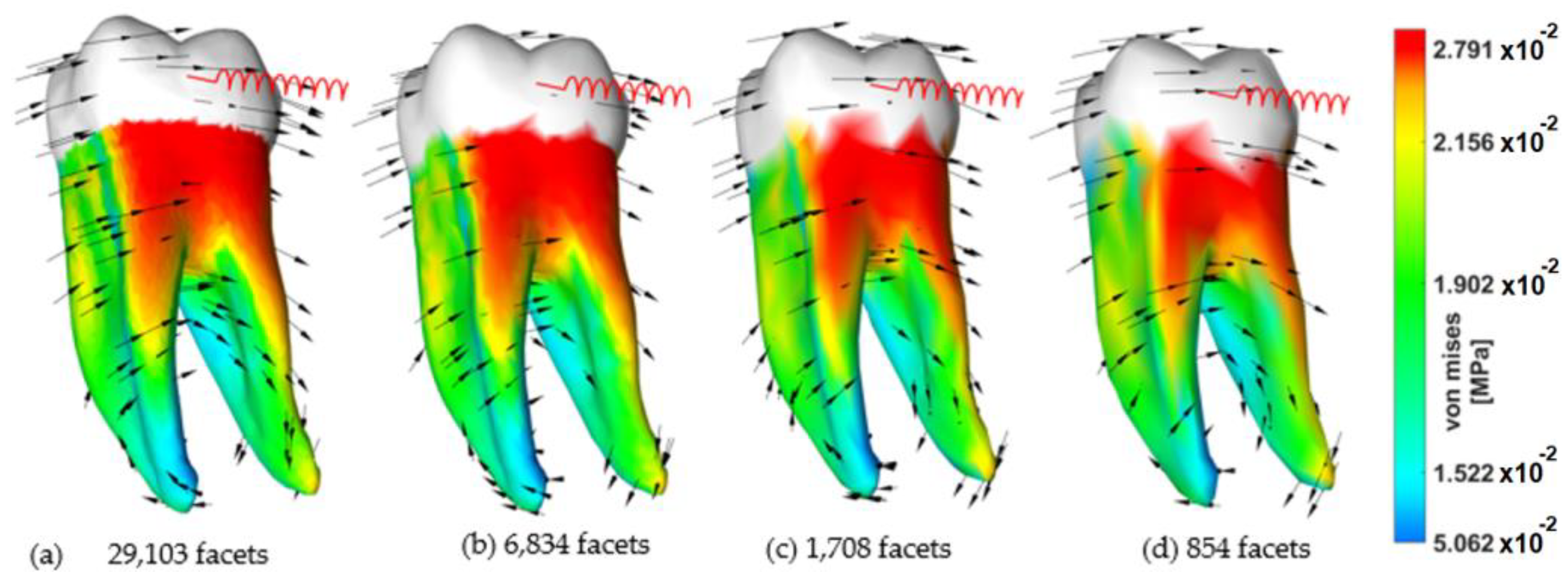 An Efficient Spring Model for an Integrated Orthodontic Tooth Movement ...