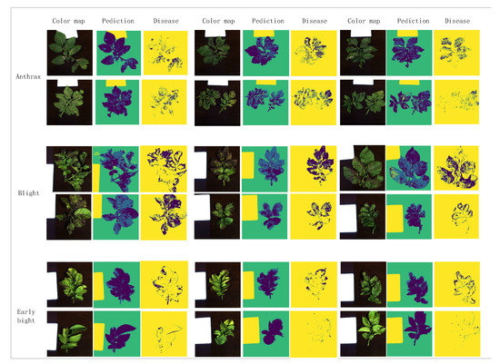 Detection and Identification of Potato-Typical Diseases Based on