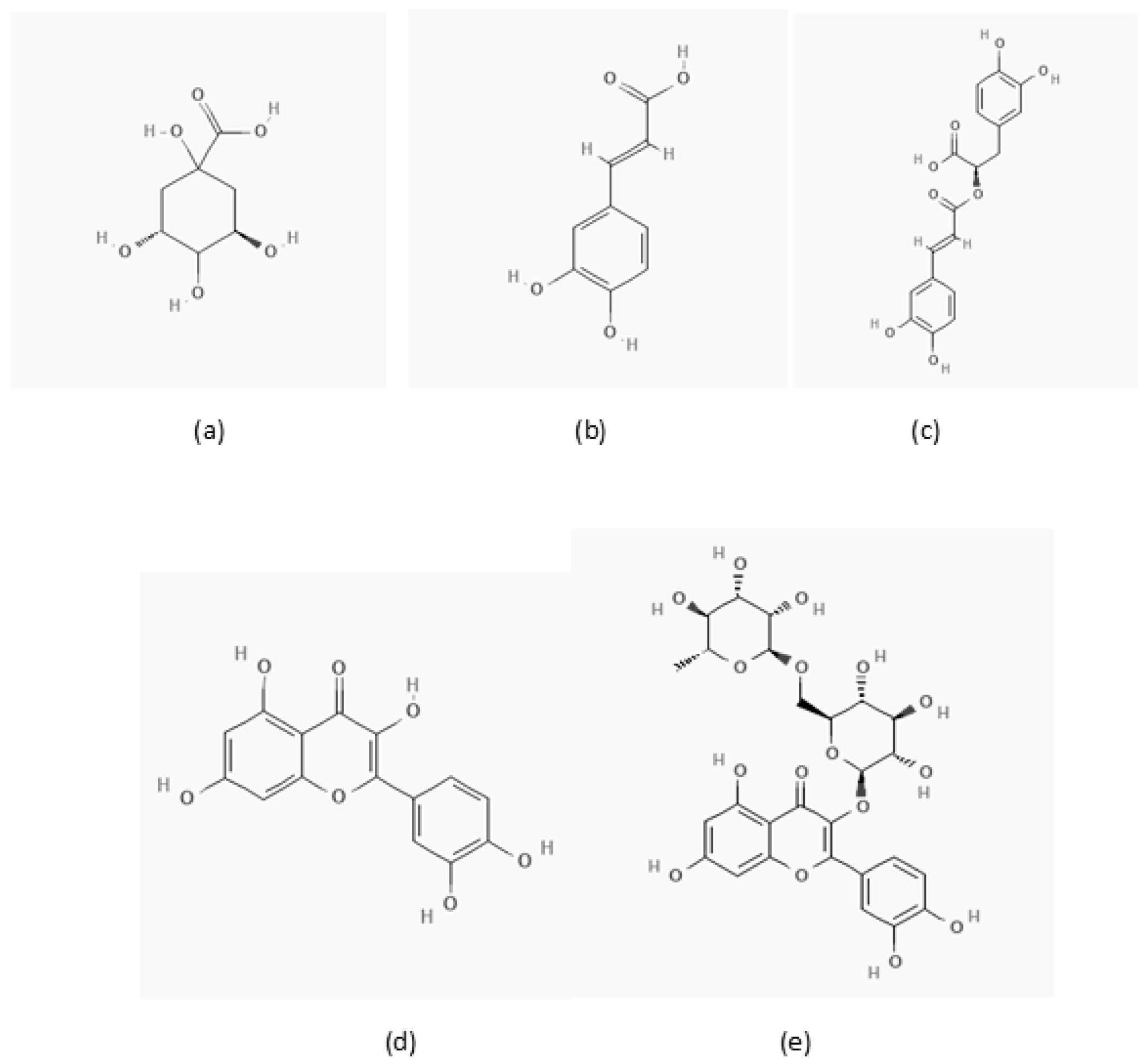 Applsci 13 05033 g001