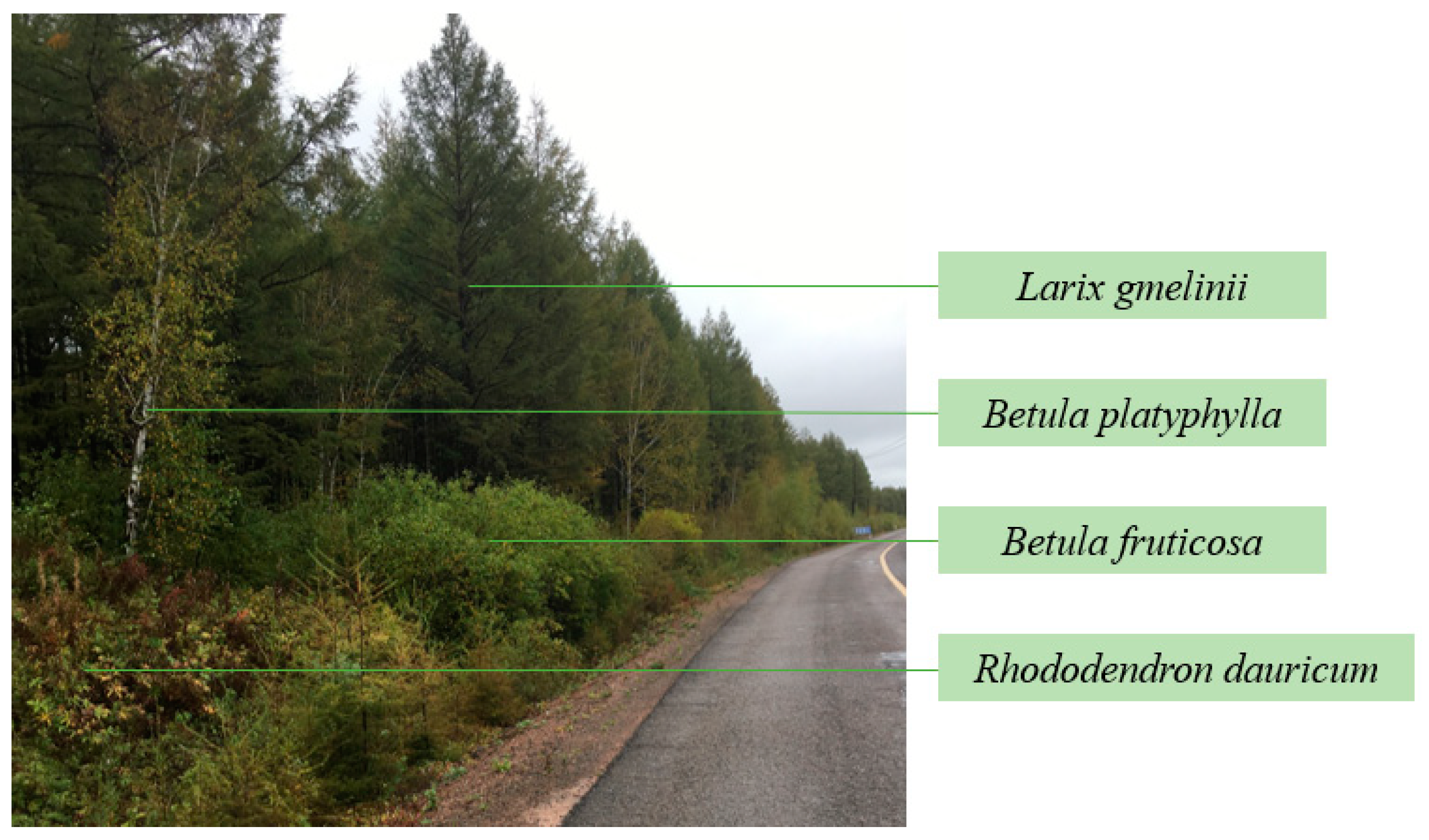 Applsci 13 05036 g003 Applsci 13 05036 g003