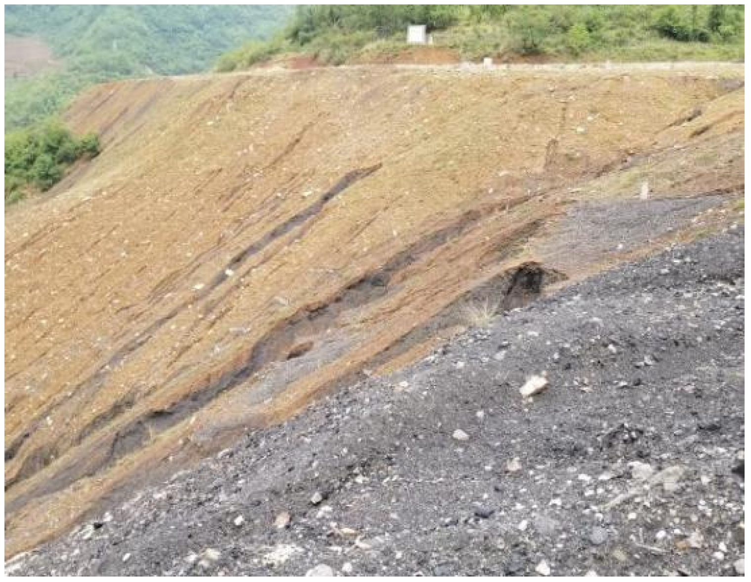 Applsci 13 05066 g003