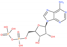 Applsci 13 05076 i003 Applsci 13 05076 i003