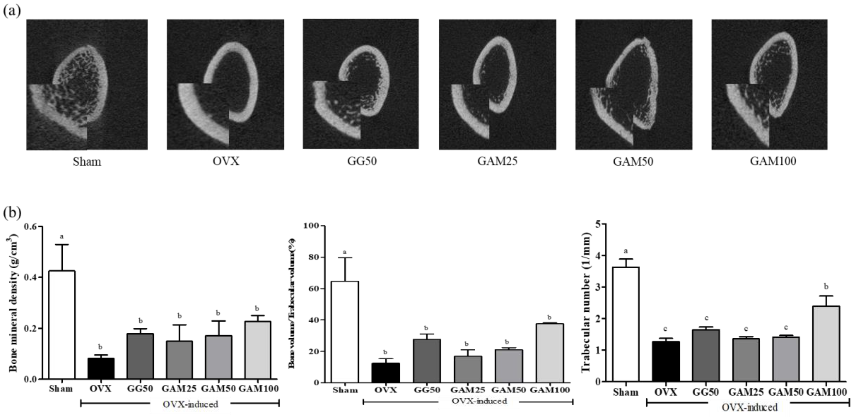 Applsci 13 05084 g004 Applsci 13 05084 g004
