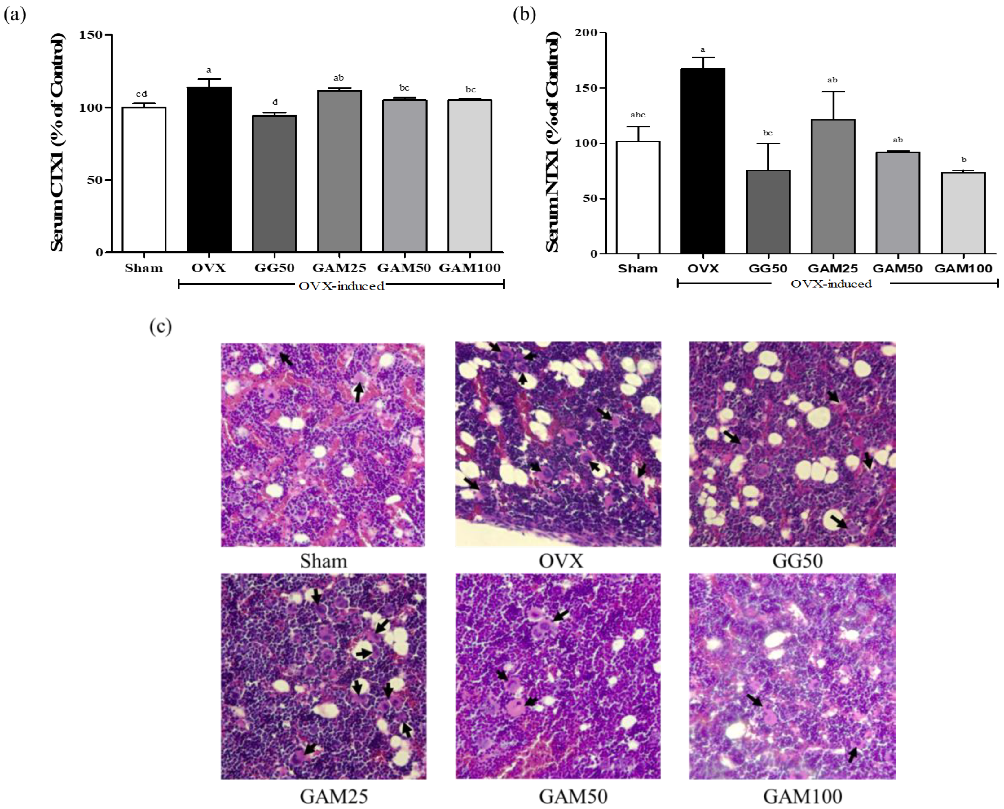 Applsci 13 05084 g006 Applsci 13 05084 g006