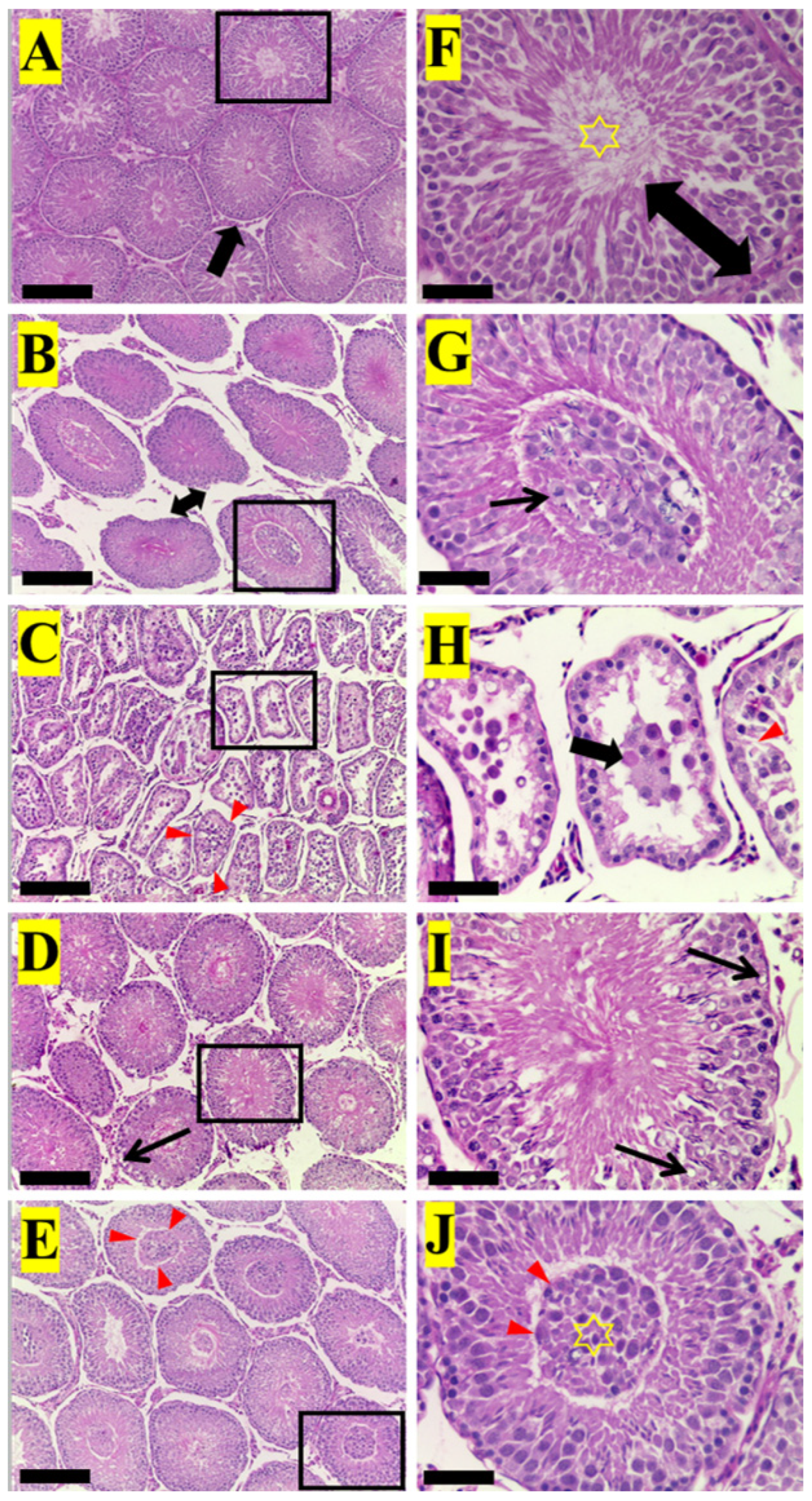 Applsci 13 05096 g002 Applsci 13 05096 g002