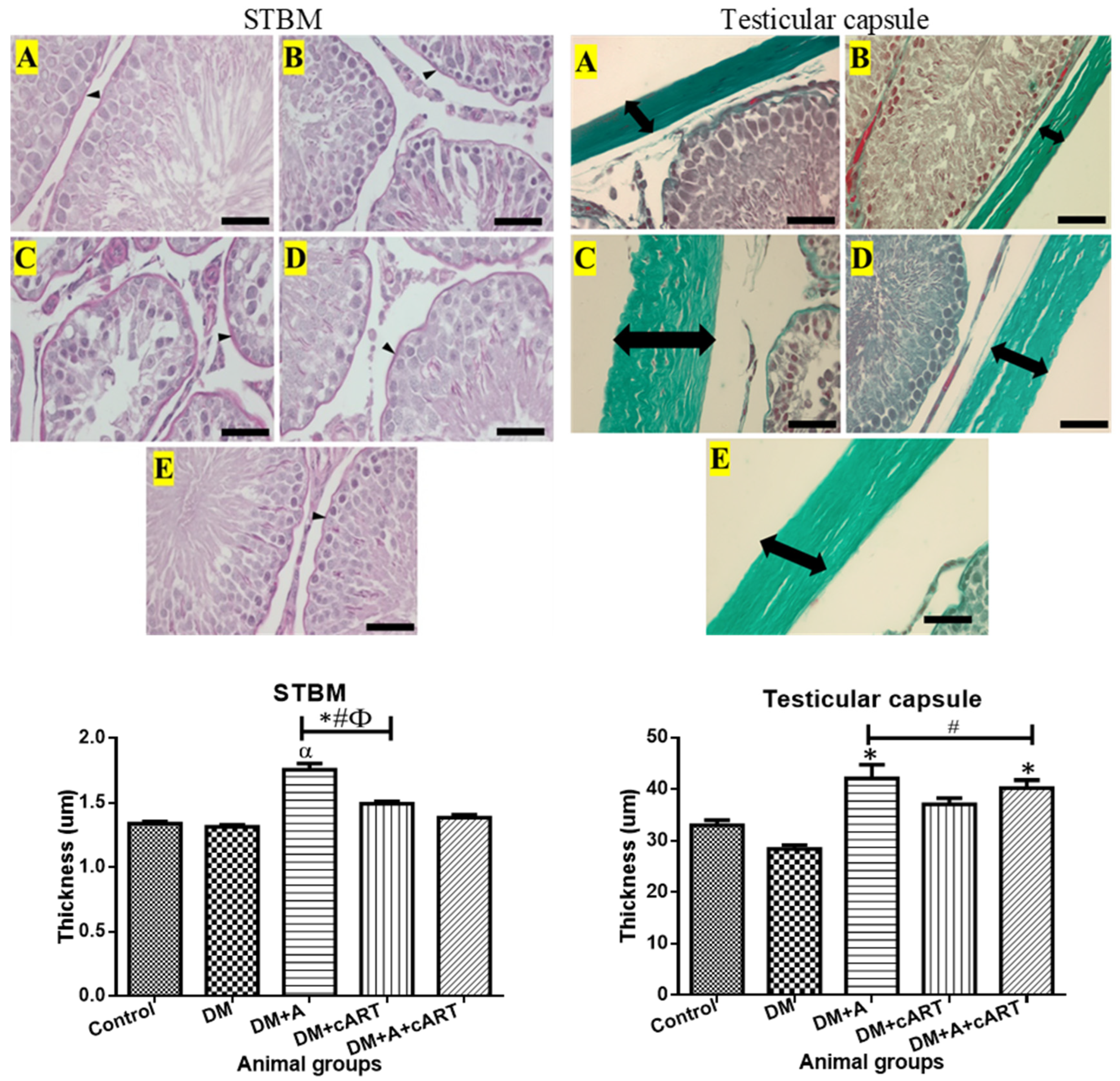 Applsci 13 05096 g003 Applsci 13 05096 g003