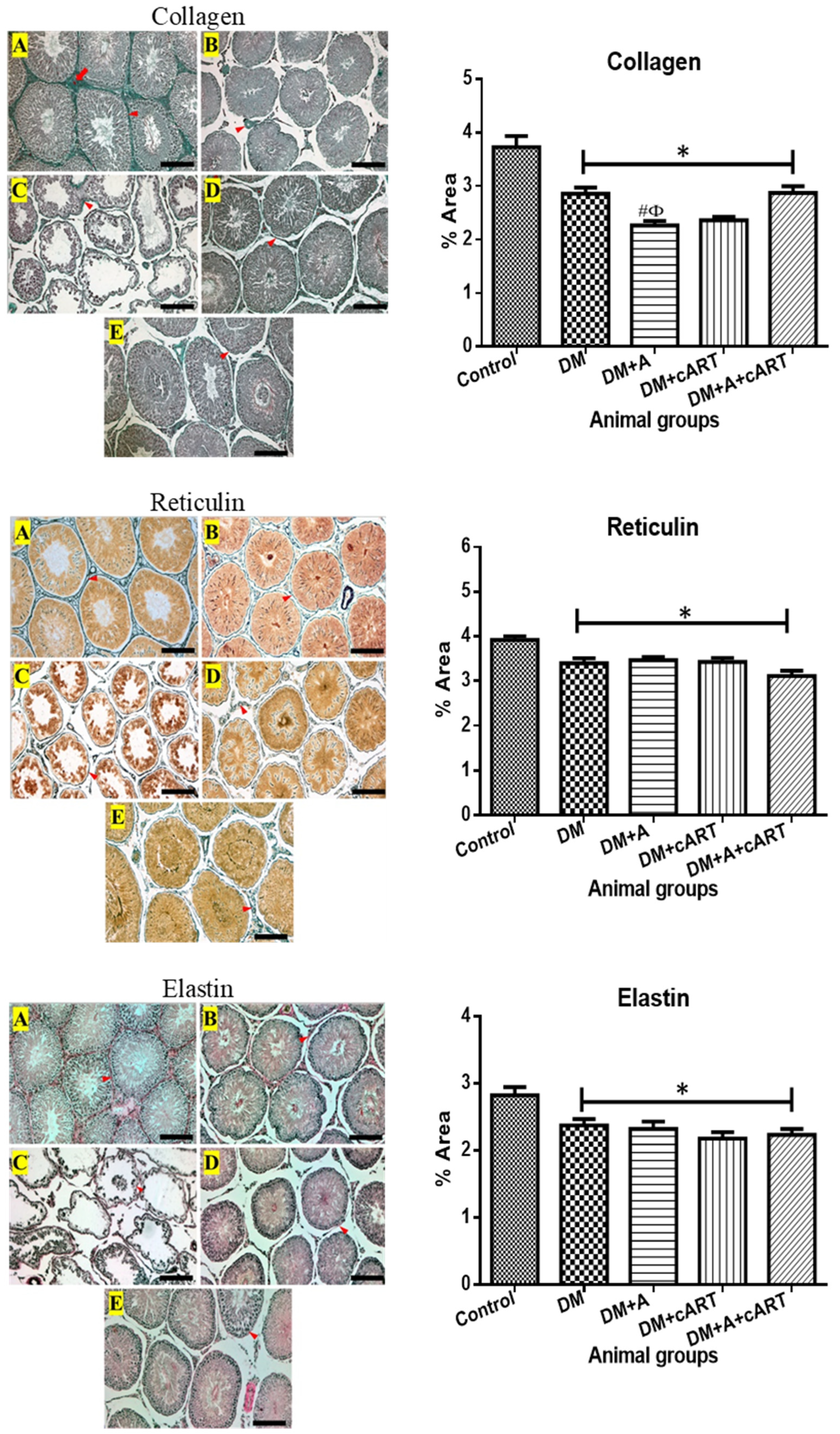 Applsci 13 05096 g004 Applsci 13 05096 g004
