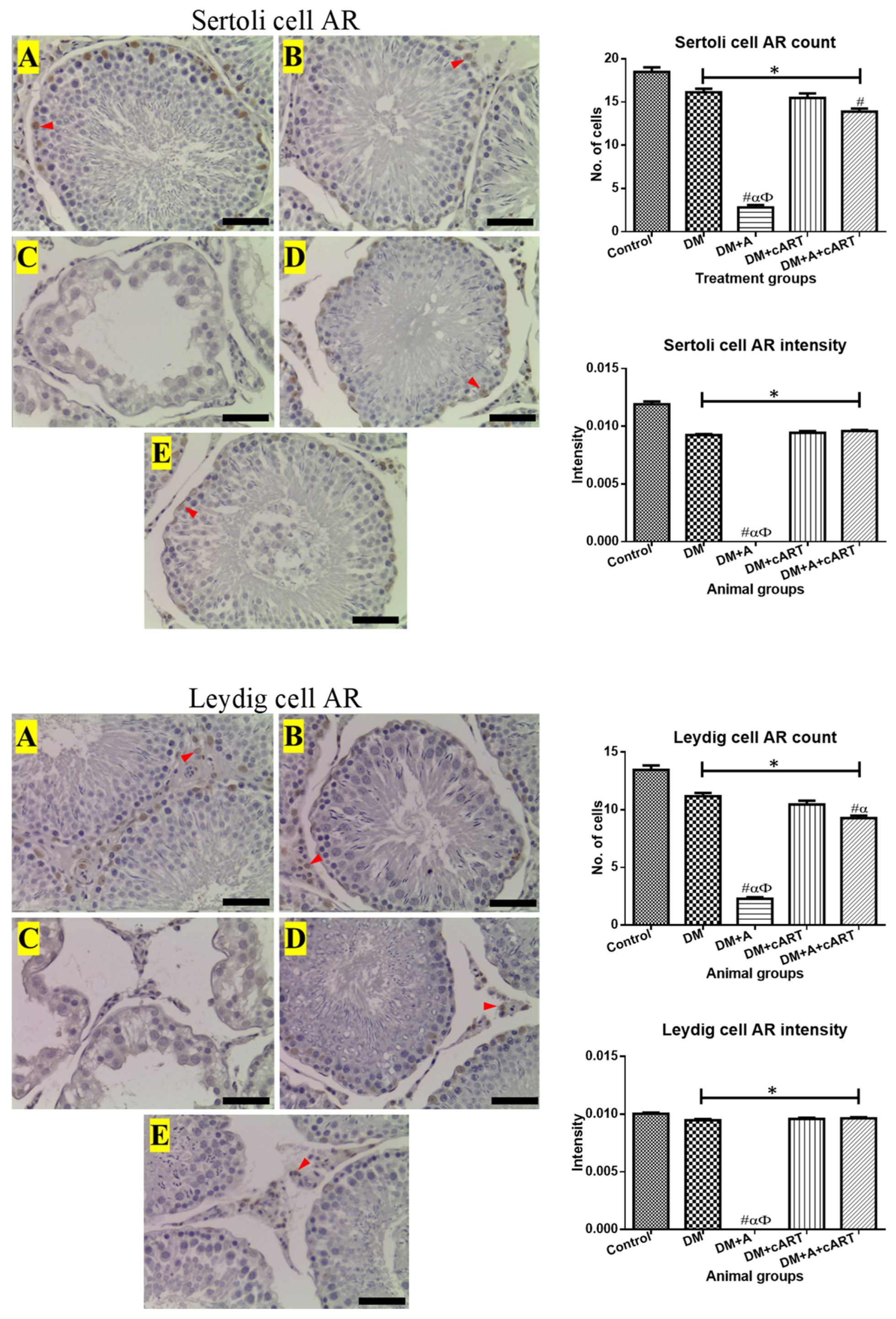 Applsci 13 05096 g006 Applsci 13 05096 g006