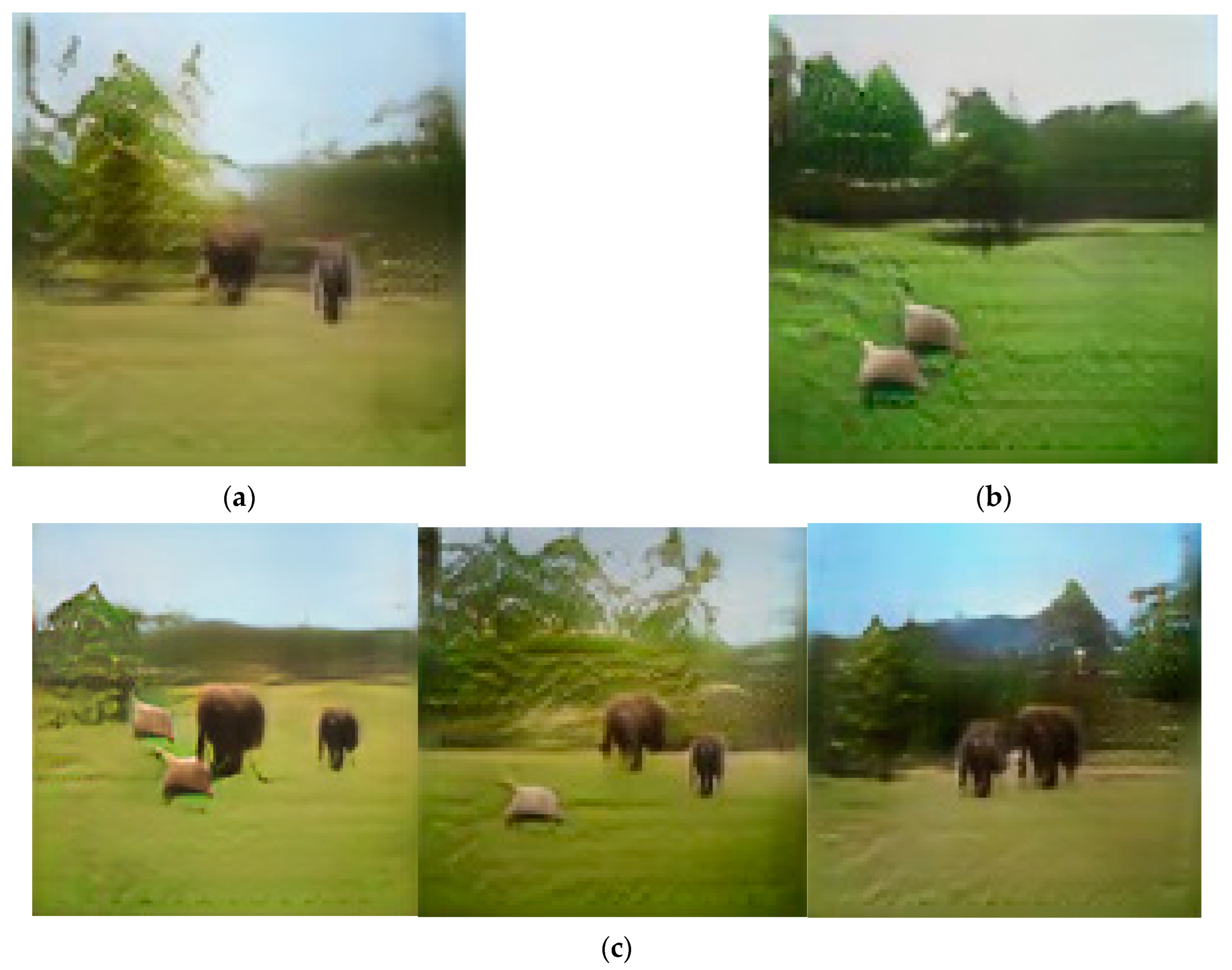 Applsci 13 05107 g001