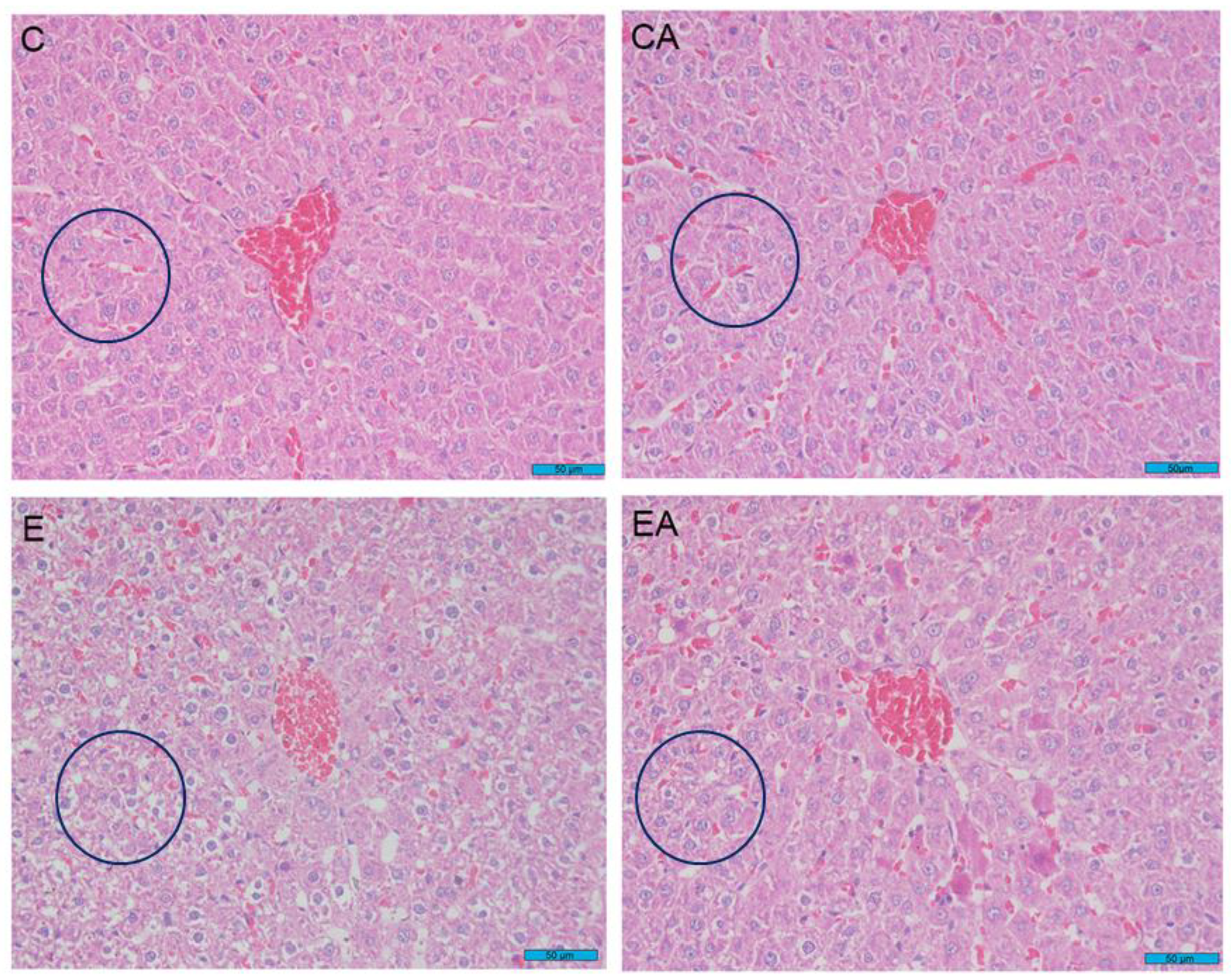 Applsci 13 05112 g002