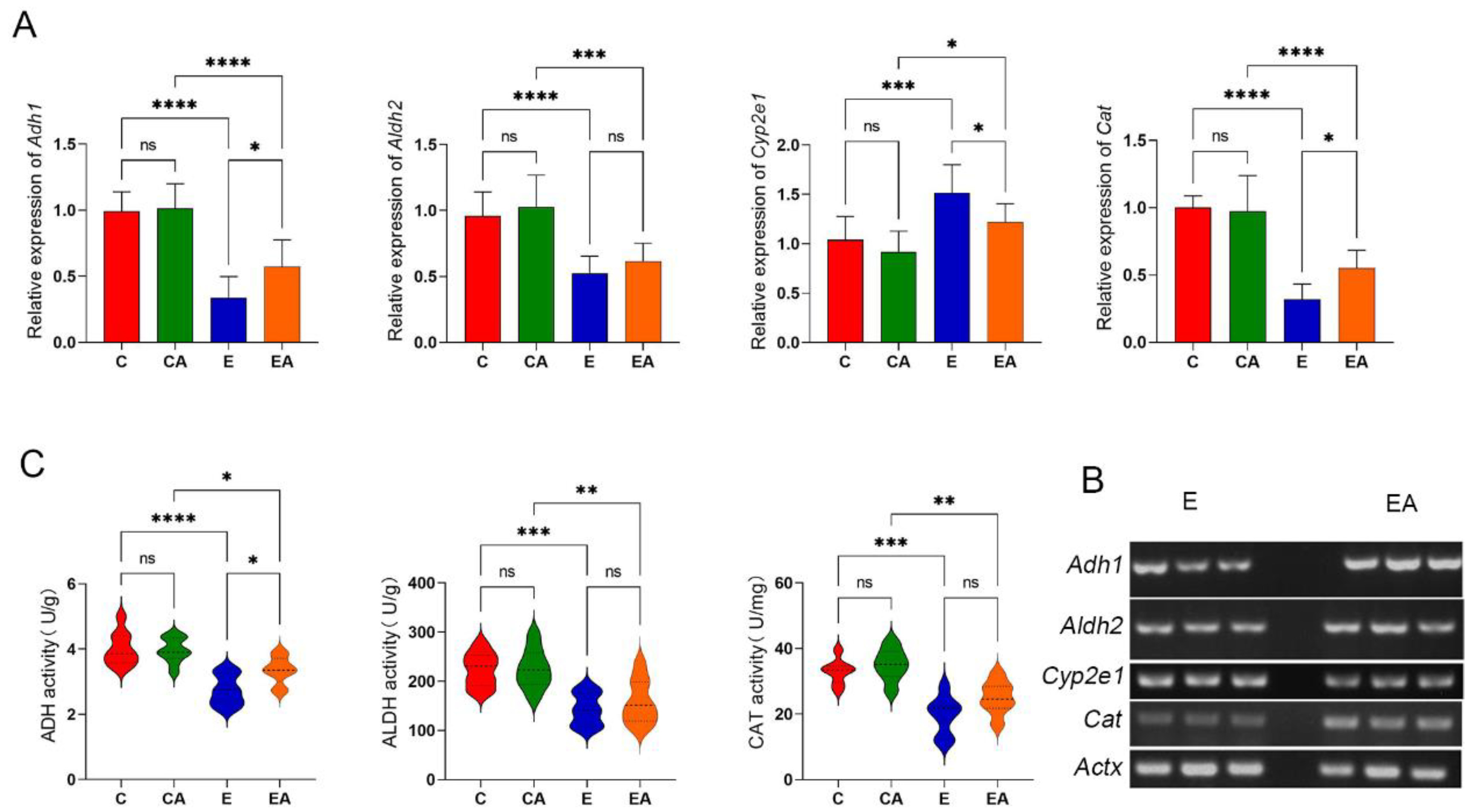 Applsci 13 05112 g003
