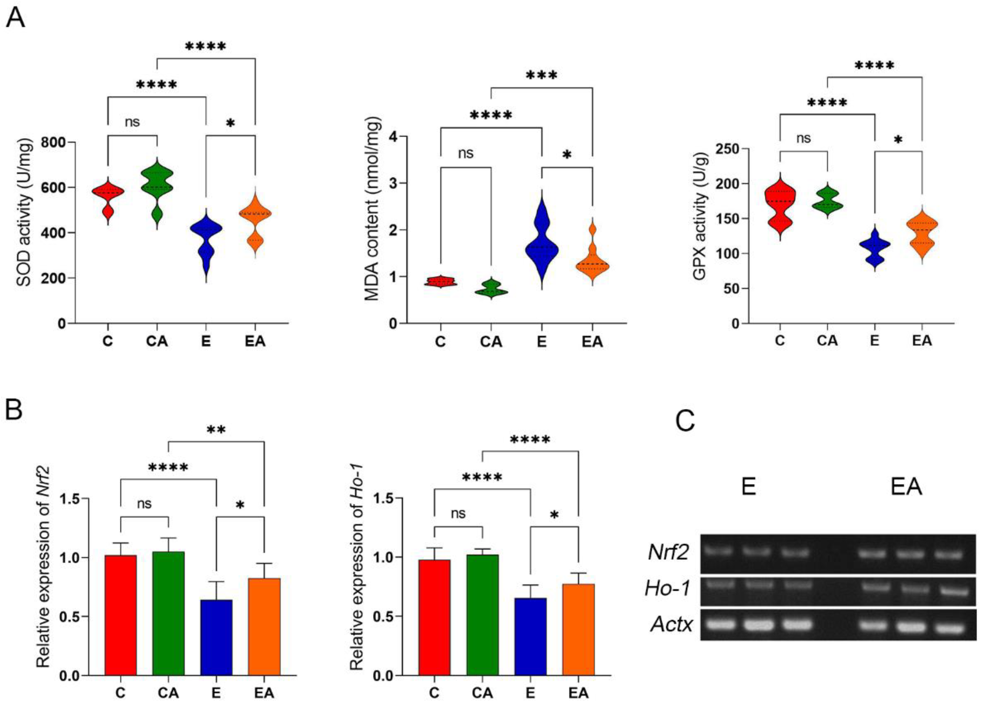 Applsci 13 05112 g004