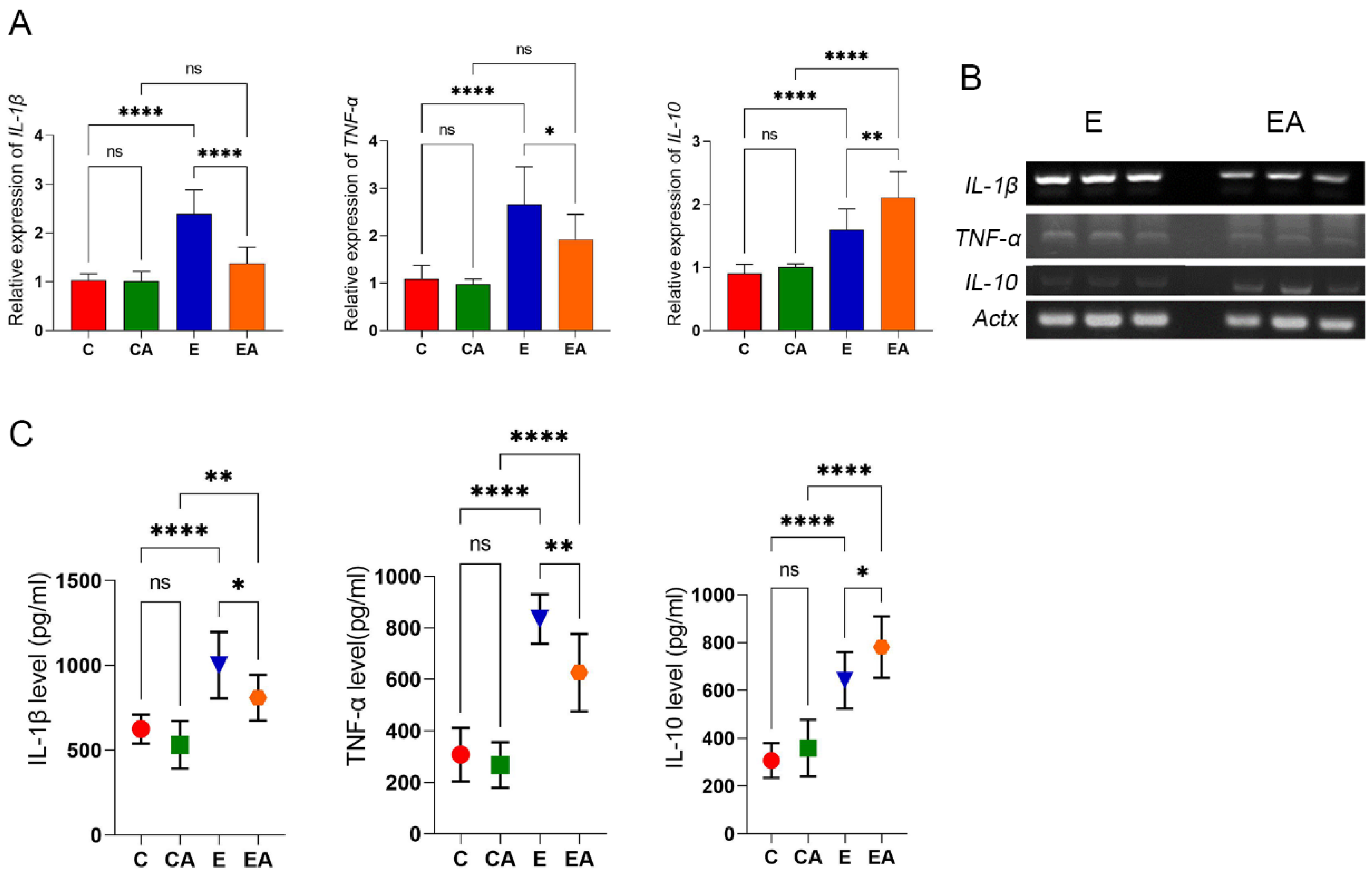 Applsci 13 05112 g005