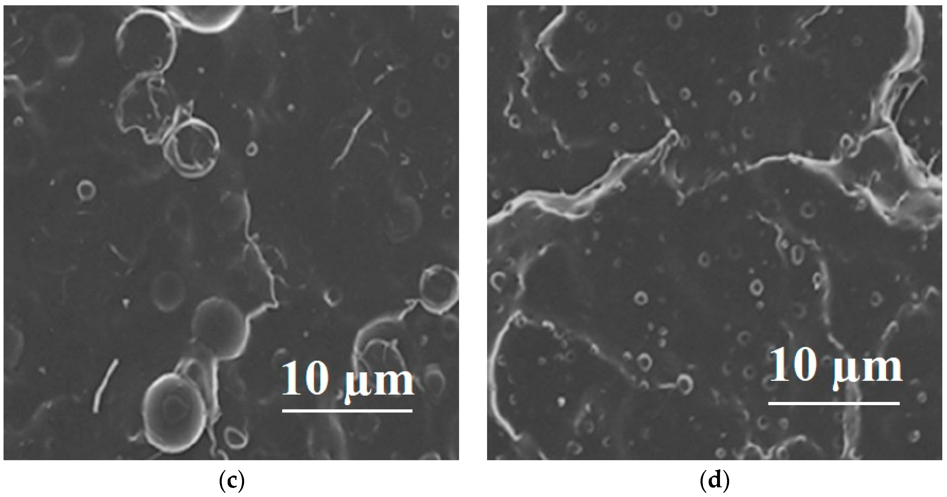 Applsci 13 05148 g003b
