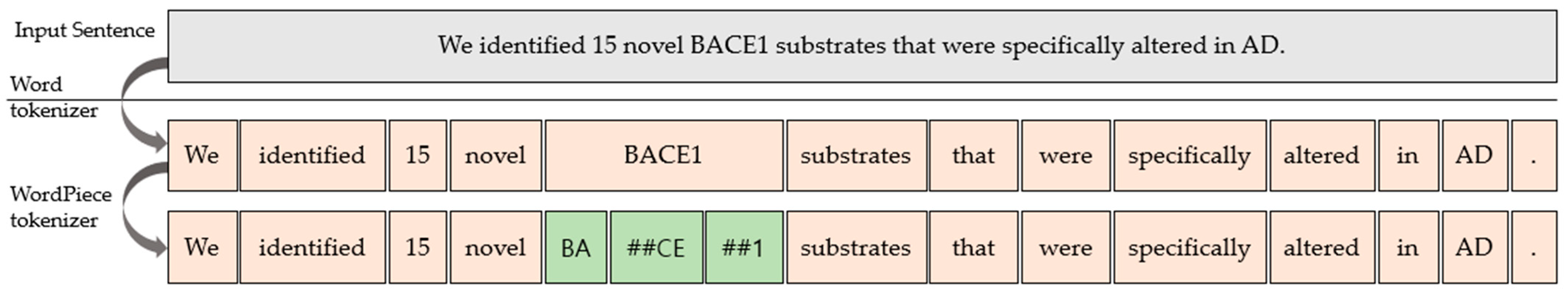 Applsci 13 05163 g006