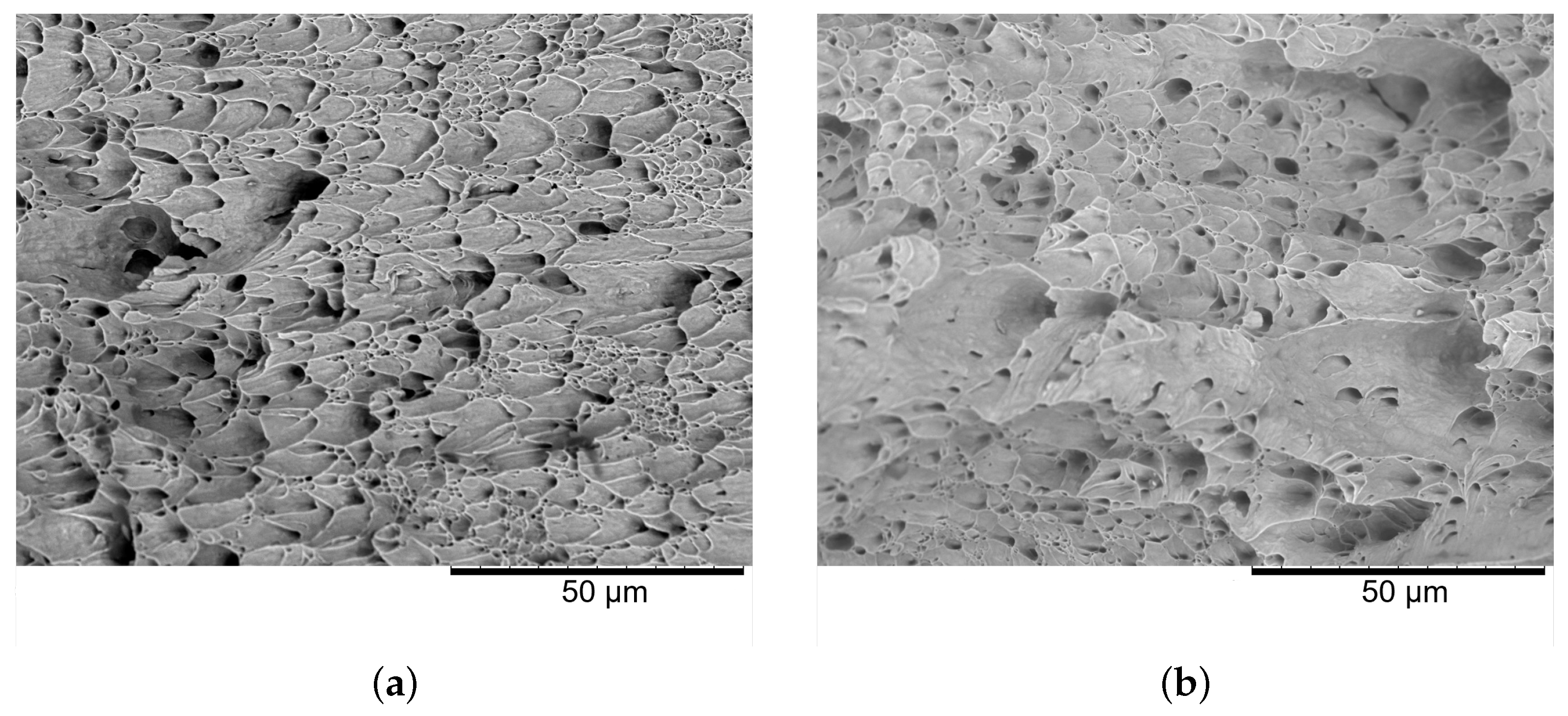 Applsci 13 05164 g006 Applsci 13 05164 g006