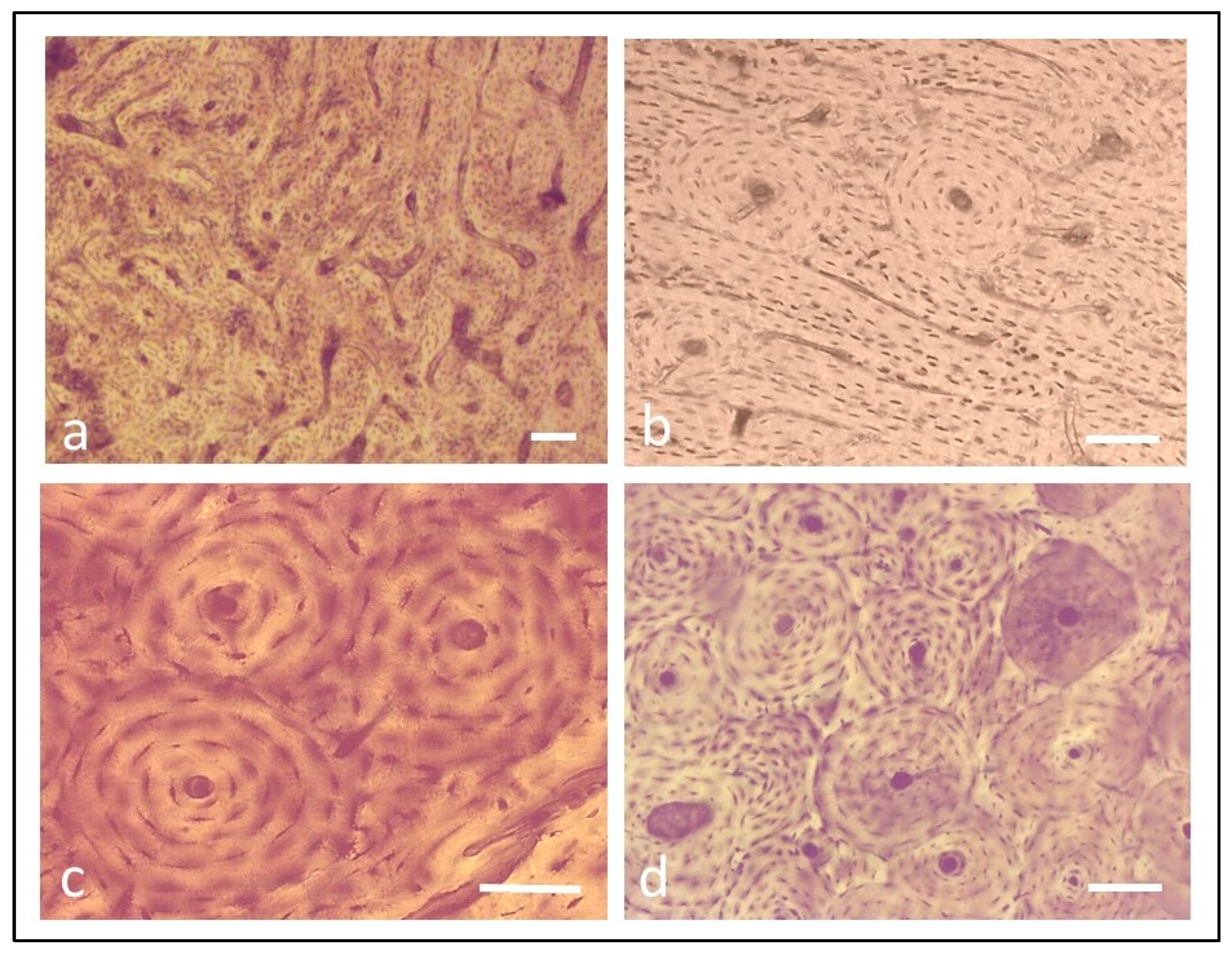 Applsci 13 05170 g001 Applsci 13 05170 g001