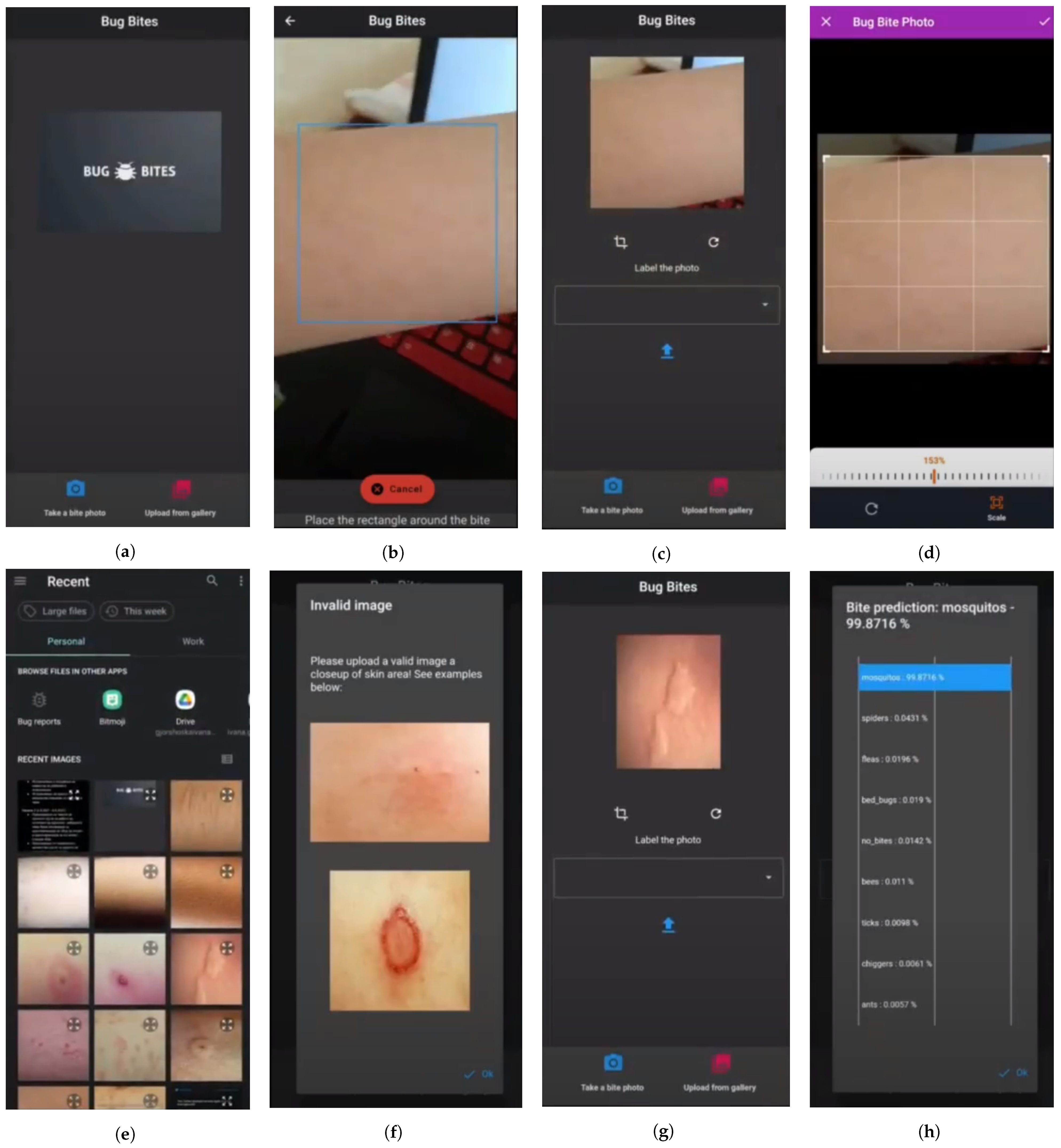 Applsci 13 05187 g008