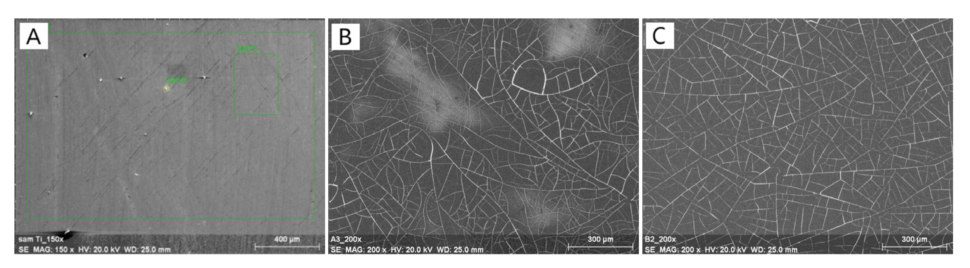 Applsci 13 05204 g001