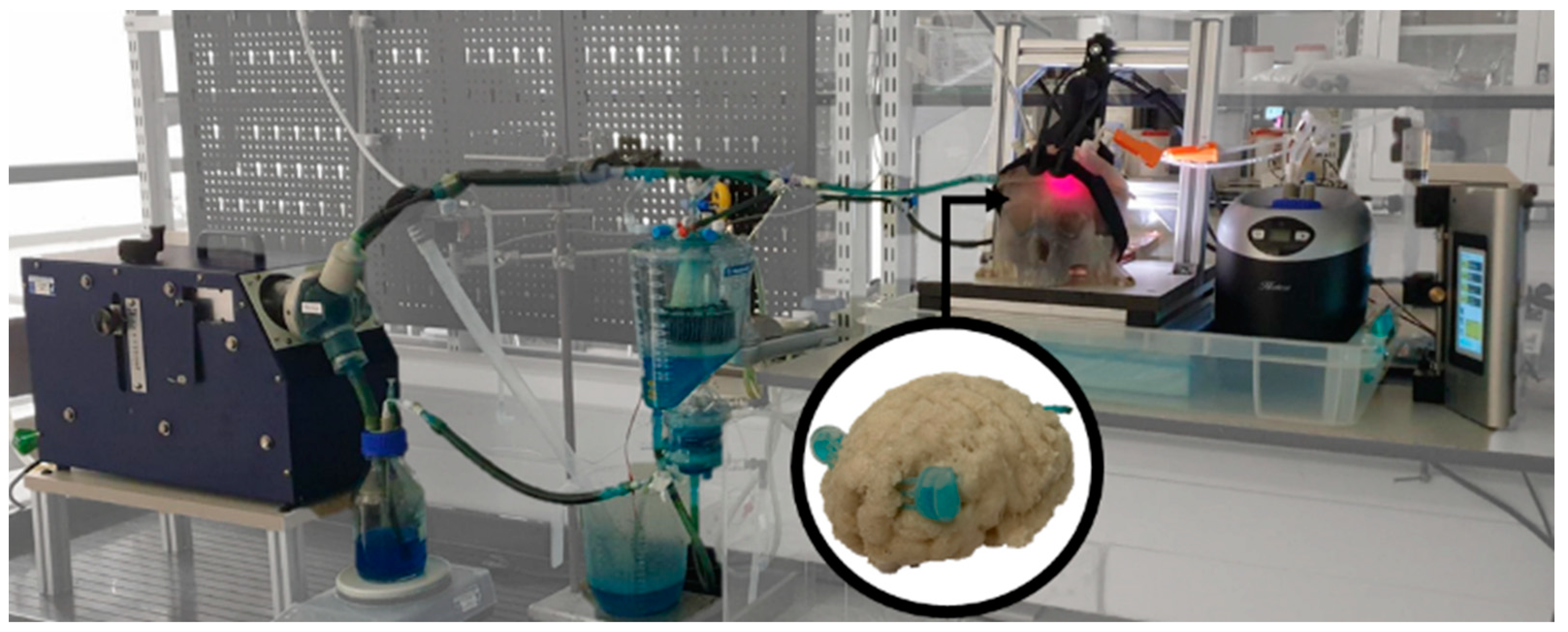 Applsci 13 05211 g005