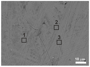 Applsci 13 05223 i001