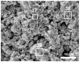 Applsci 13 05223 i011