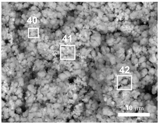 Applsci 13 05223 i013