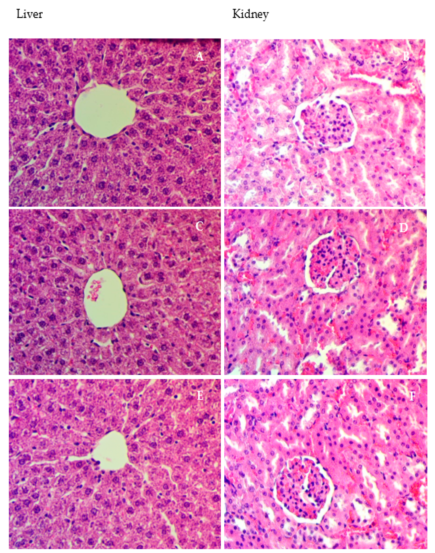 Applsci 13 05243 g001 Applsci 13 05243 g001