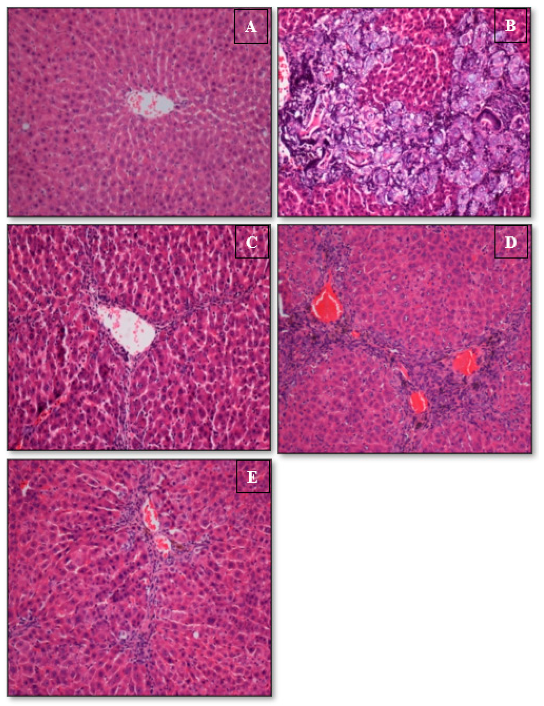 Applsci 13 05243 g003 Applsci 13 05243 g003