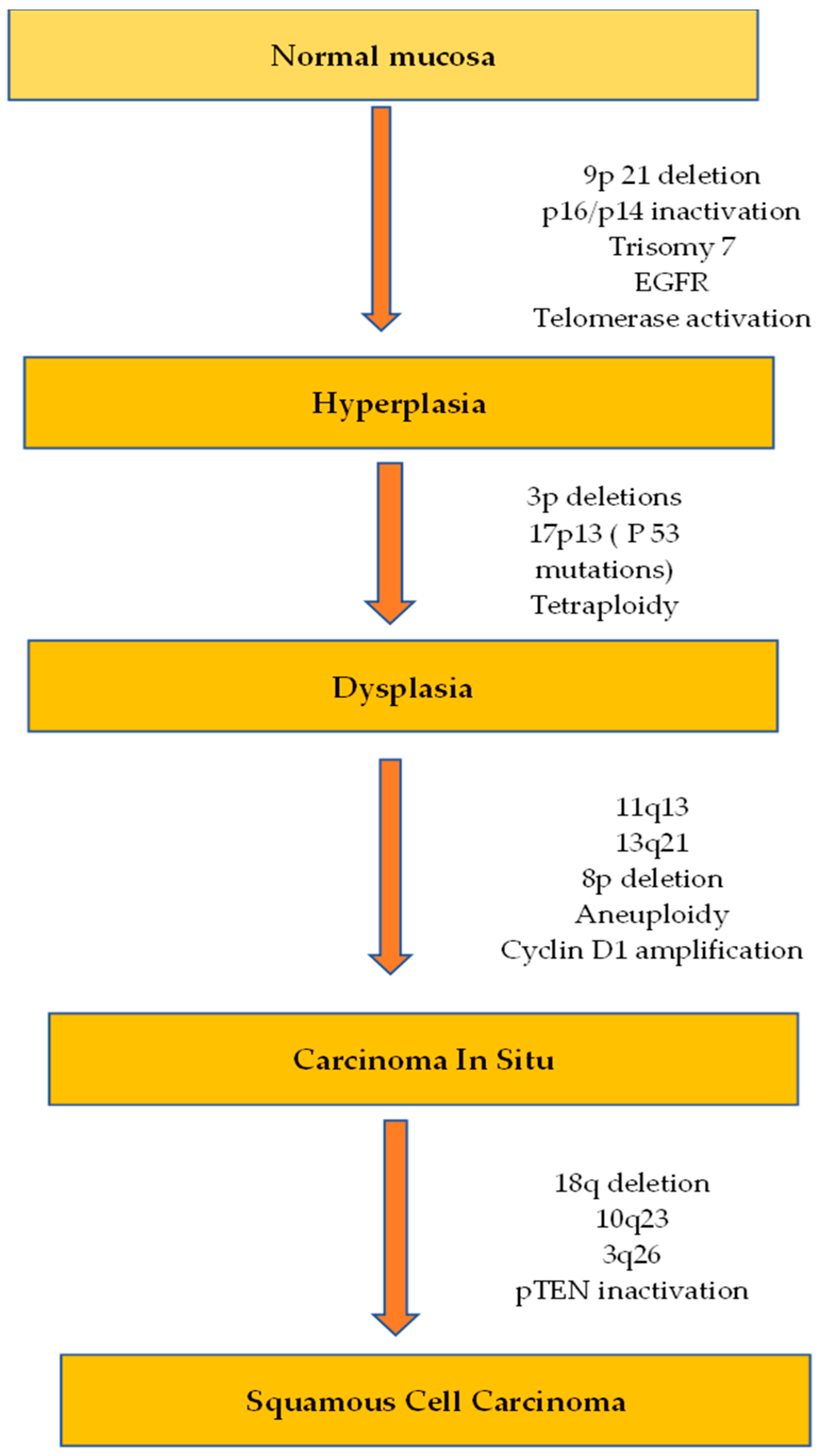Applsci 13 05292 g001