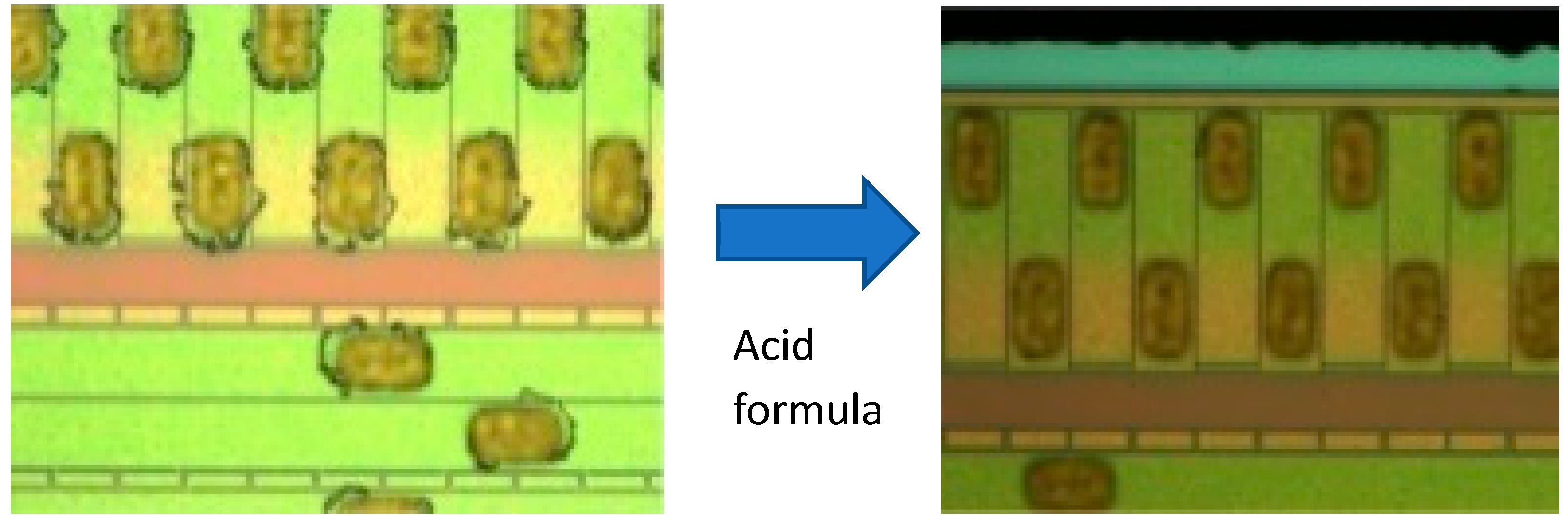 Applsci 13 05294 g006 Applsci 13 05294 g006