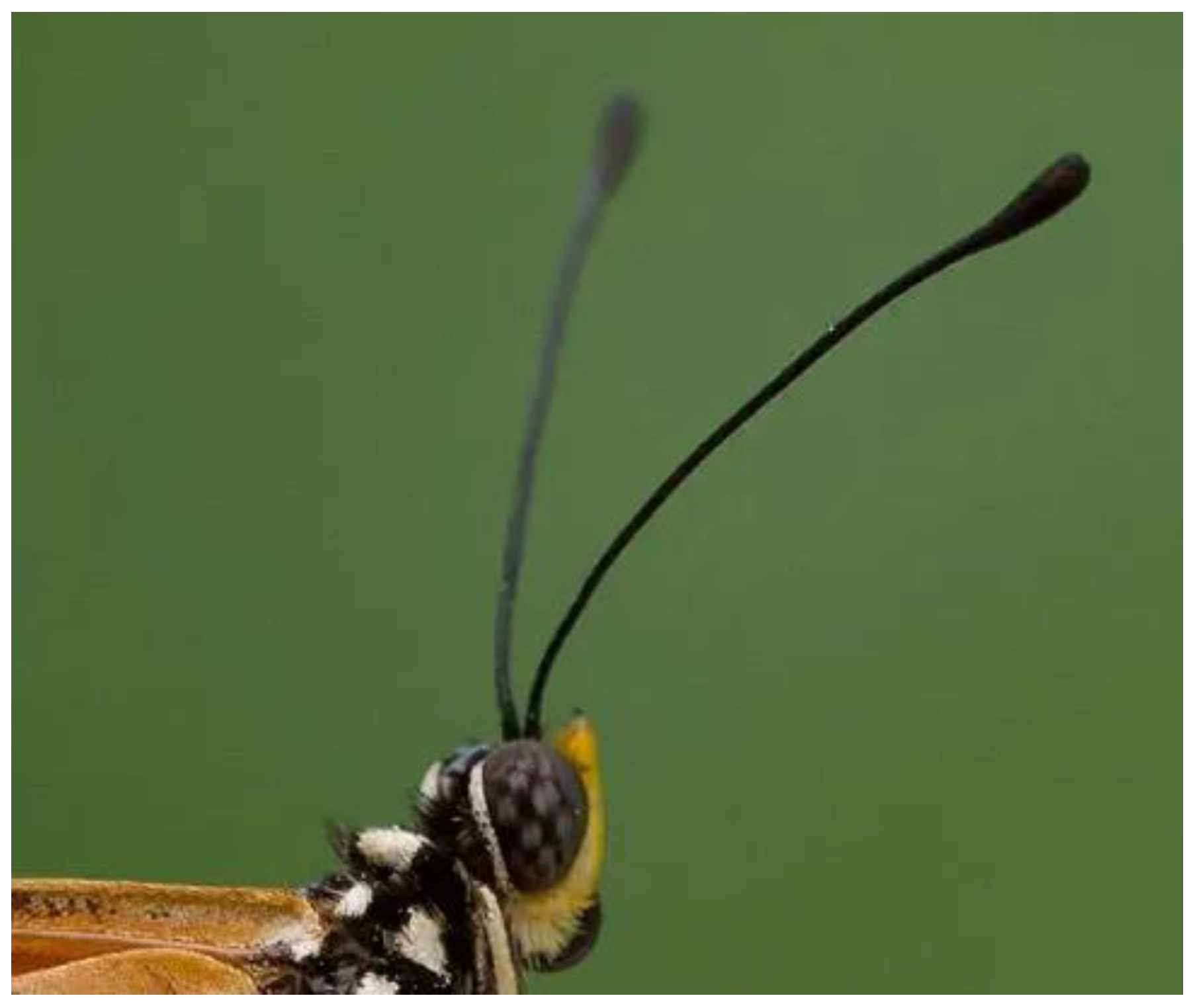 Applsci 13 05301 g006 Applsci 13 05301 g006