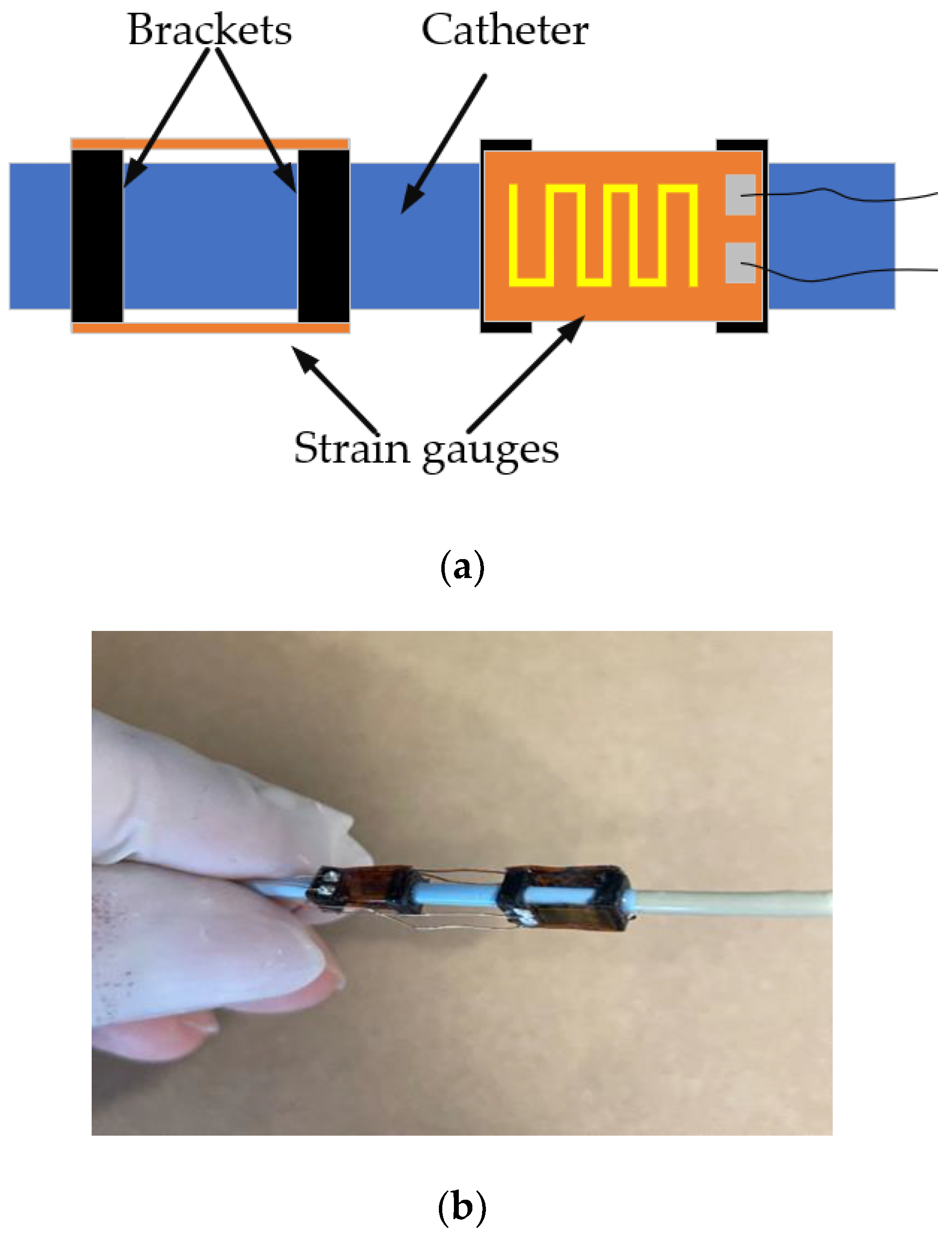 Applsci 13 05301 g007 Applsci 13 05301 g007