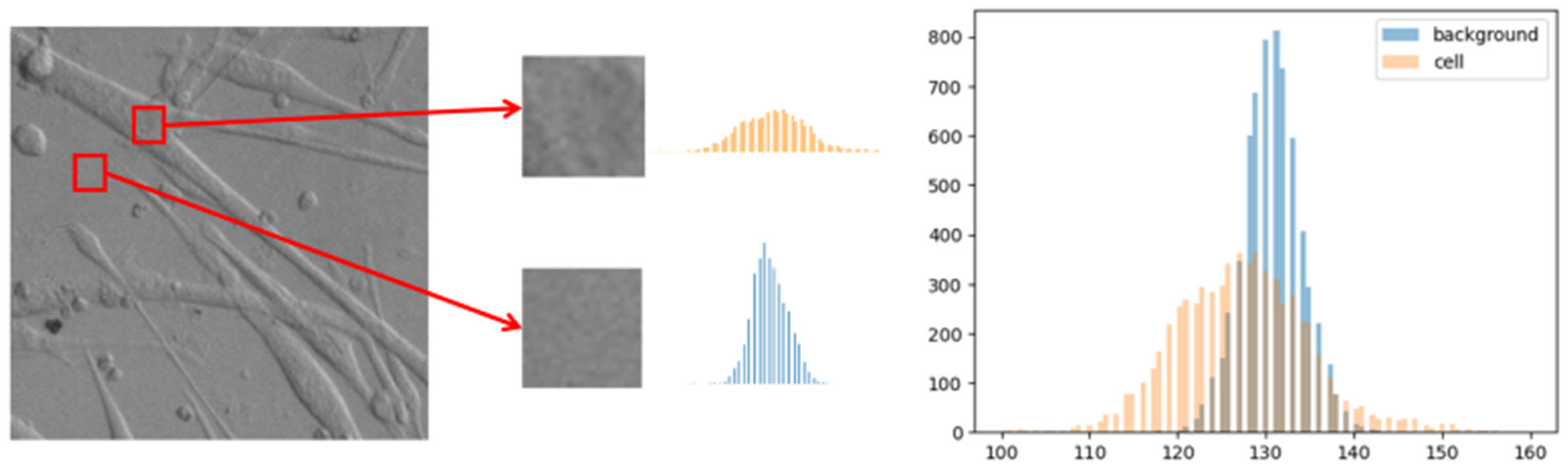Applsci 13 05314 g004 Applsci 13 05314 g004