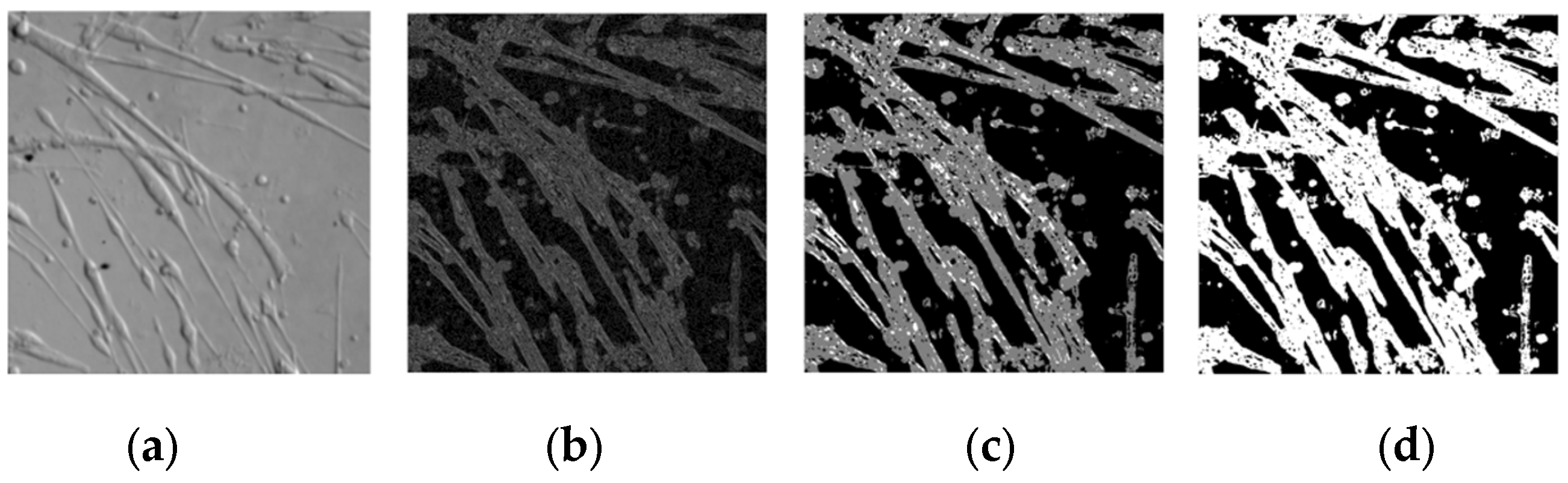 Applsci 13 05314 g006 Applsci 13 05314 g006