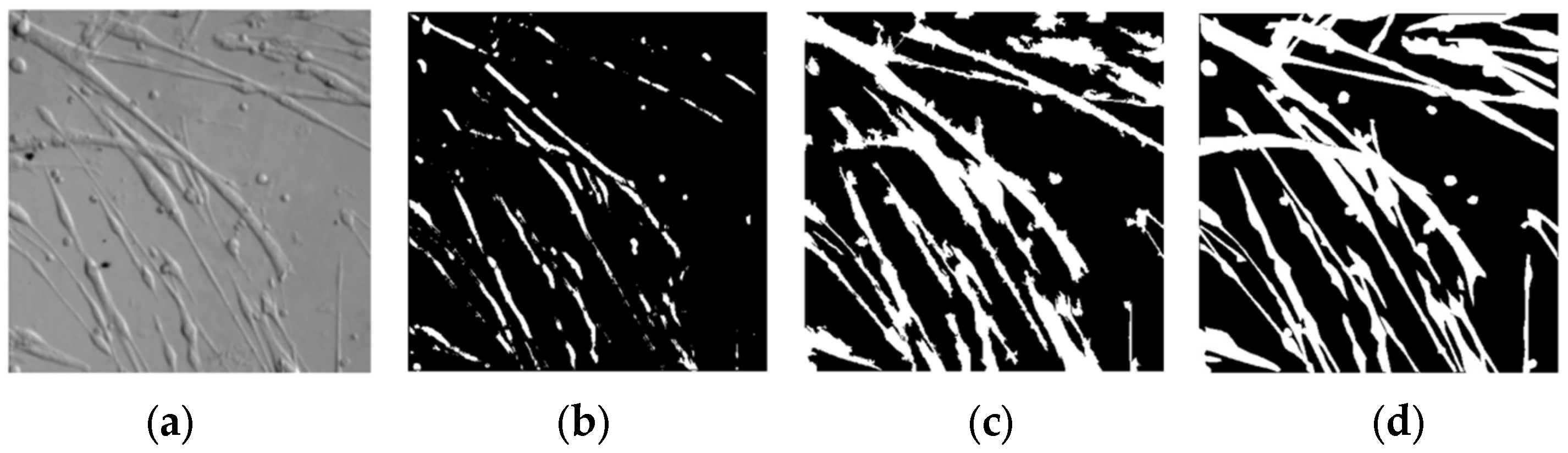 Applsci 13 05314 g011 Applsci 13 05314 g011