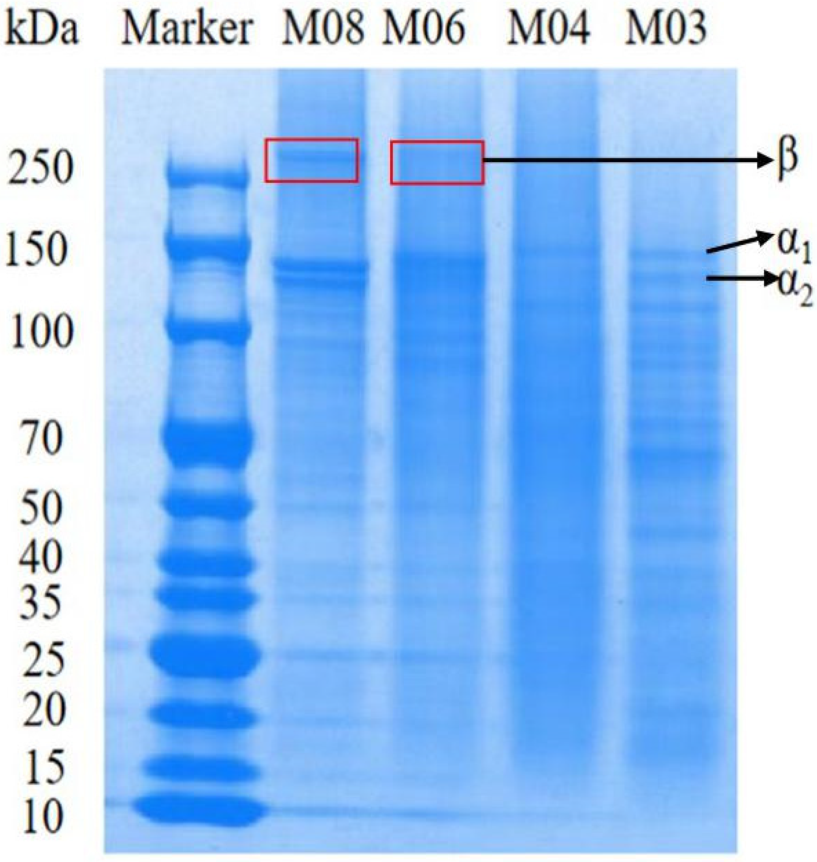 Applsci 13 05337 g001