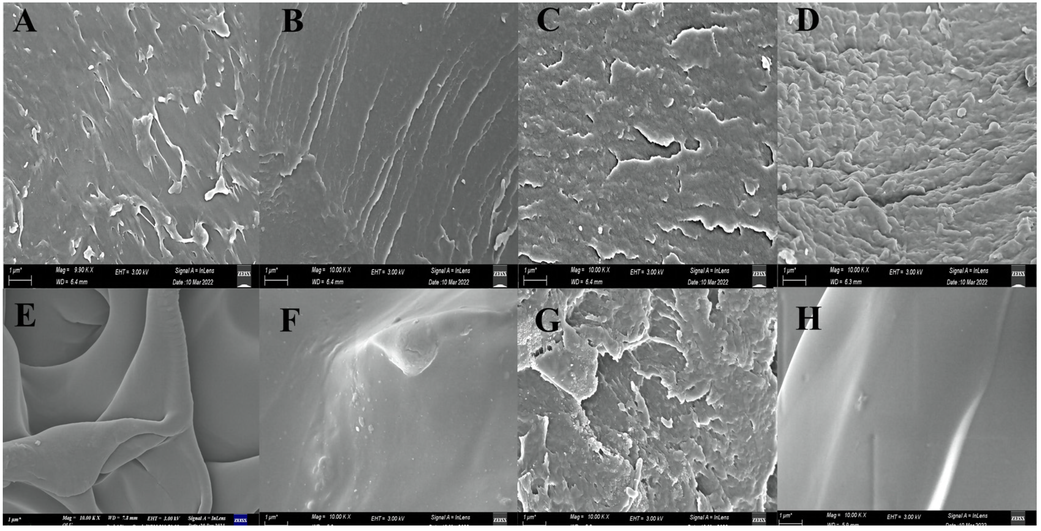 Applsci 13 05337 g003