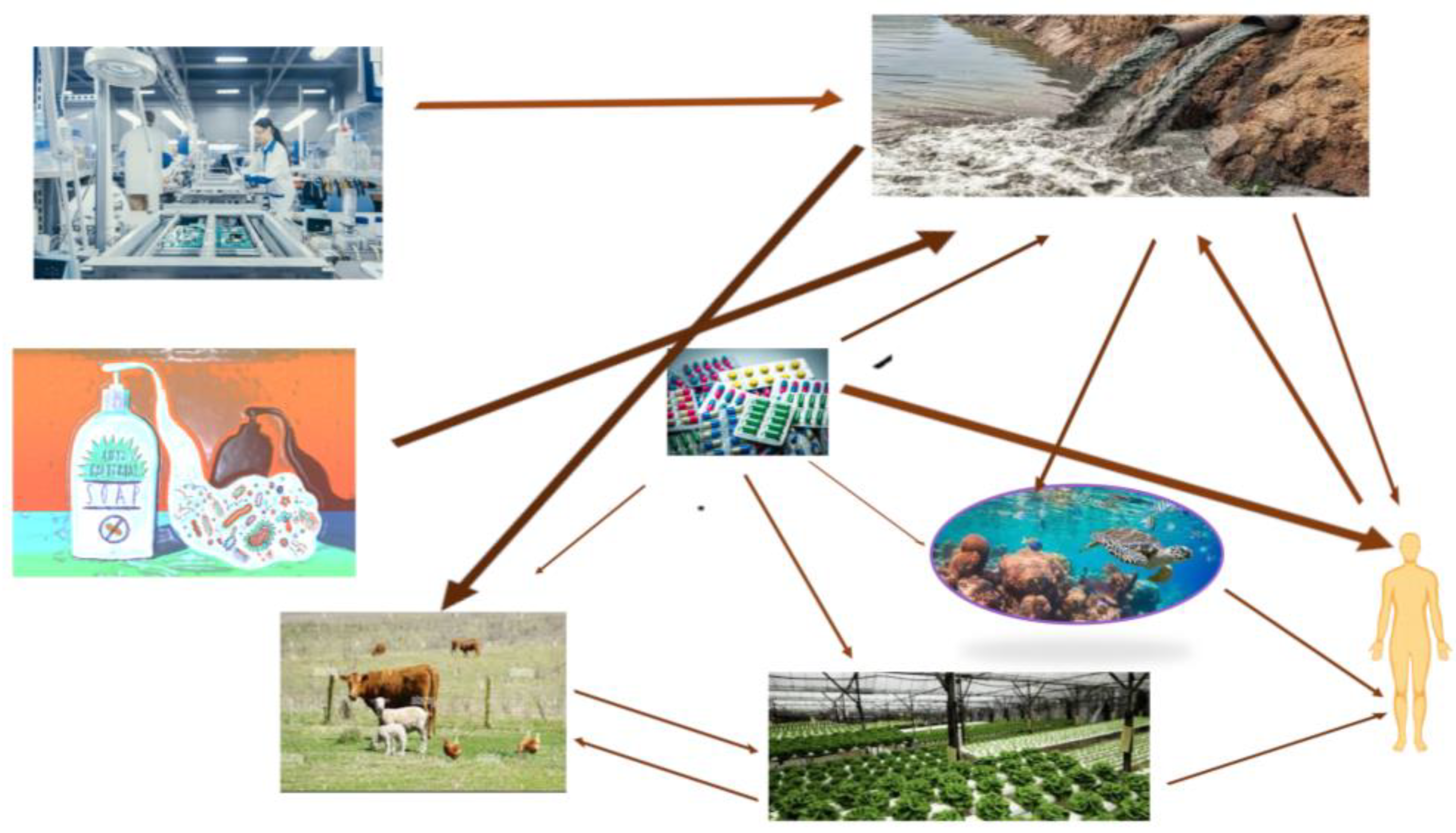 Applsci 13 05391 g001