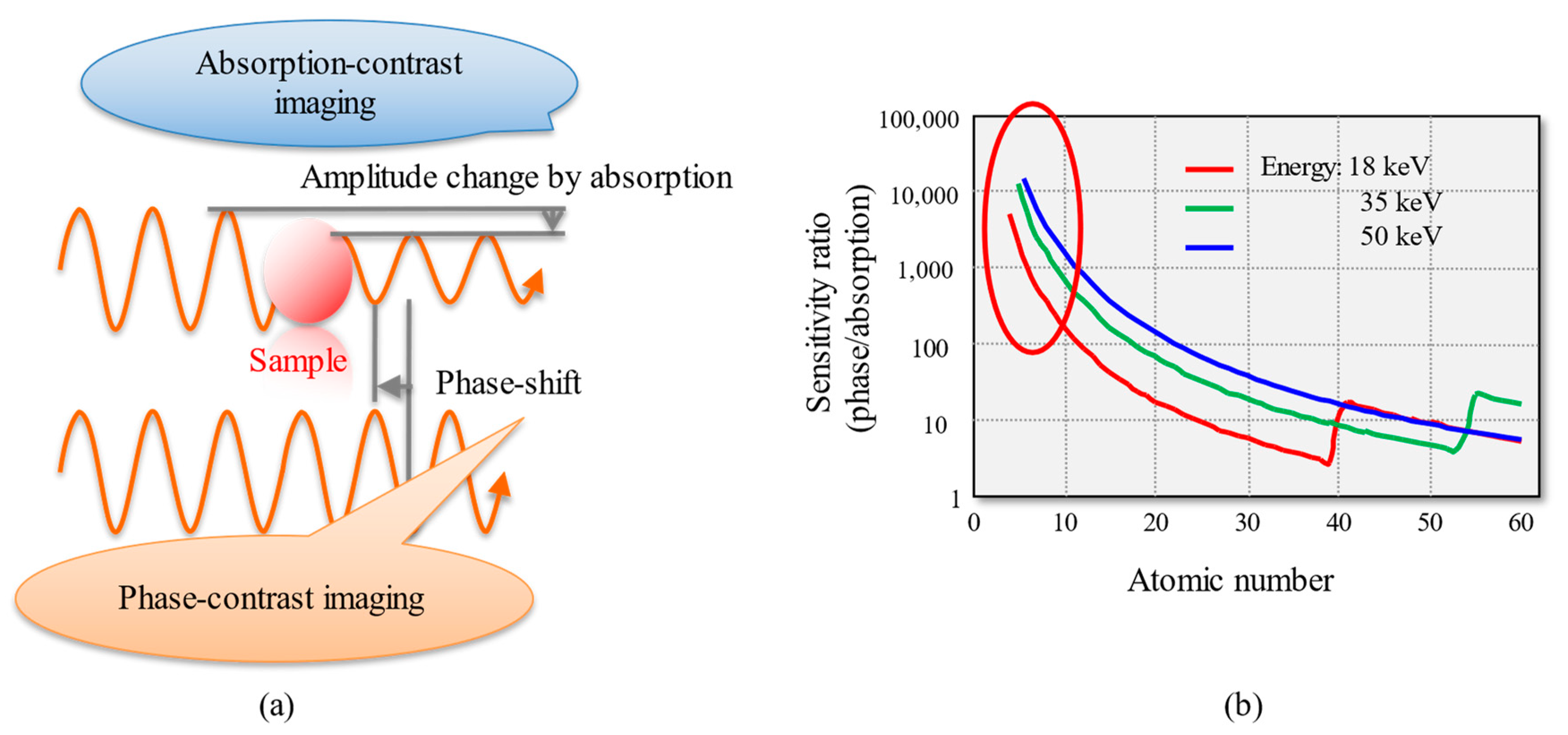 Applsci 13 05424 g001 Applsci 13 05424 g001