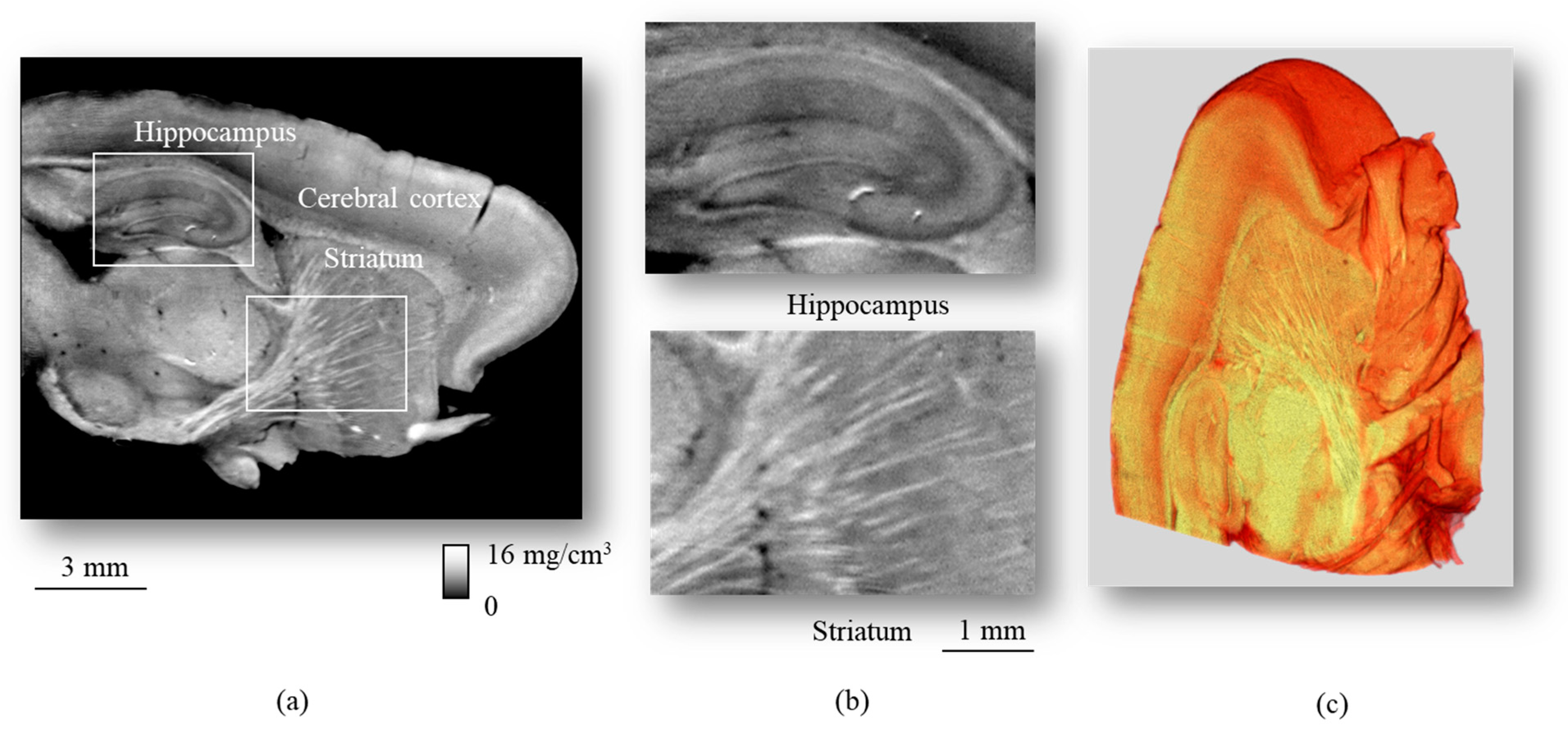 Applsci 13 05424 g006 Applsci 13 05424 g006