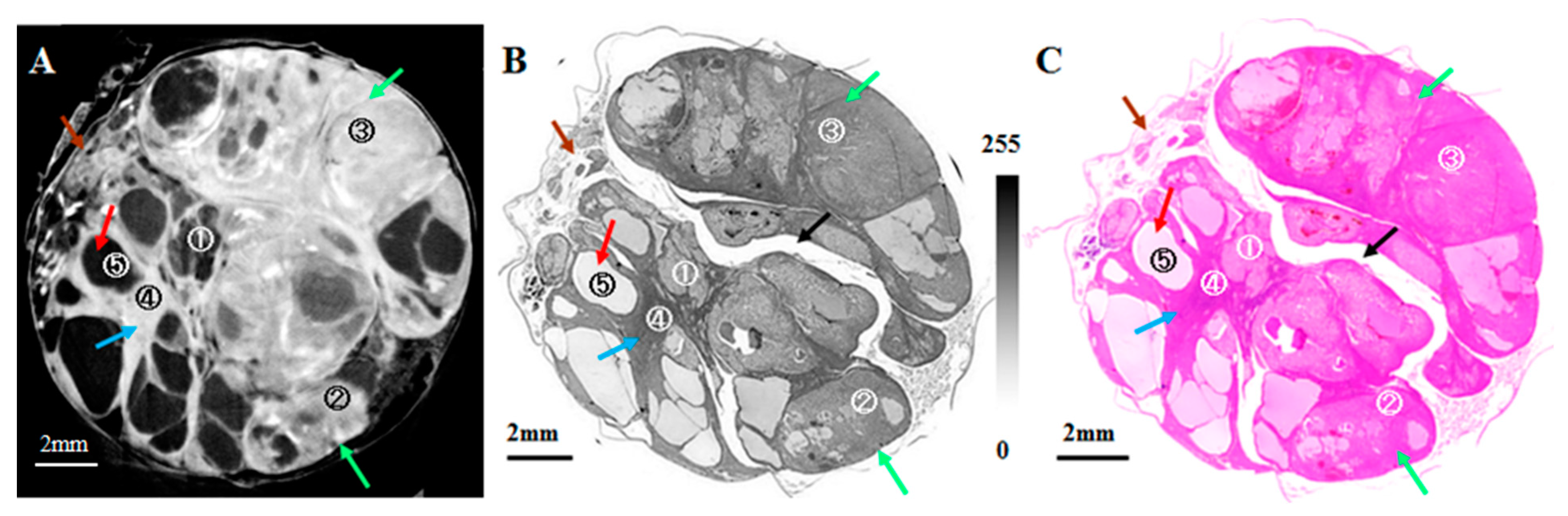 Applsci 13 05424 g007 Applsci 13 05424 g007