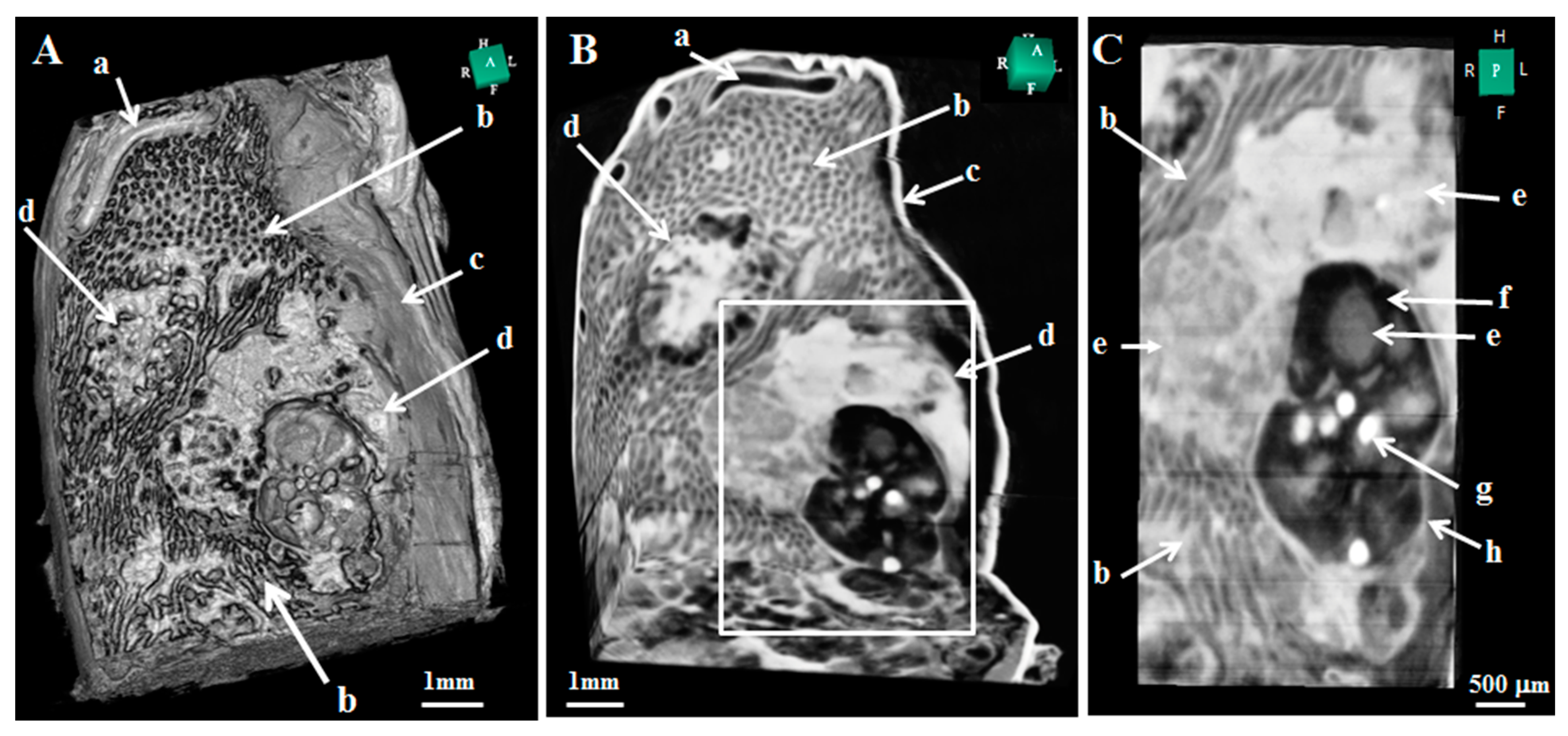 Applsci 13 05424 g008 Applsci 13 05424 g008