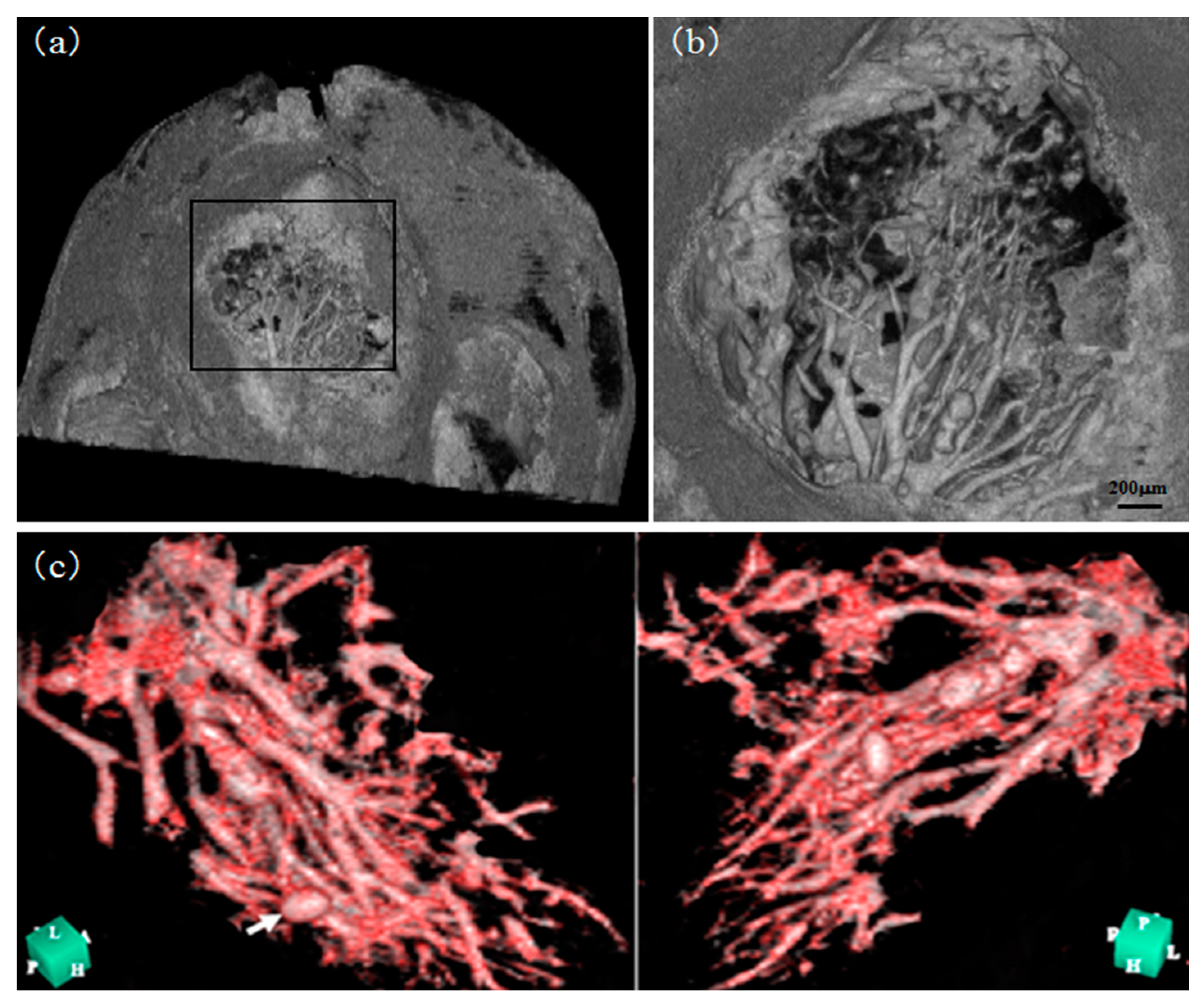 Applsci 13 05424 g009 Applsci 13 05424 g009